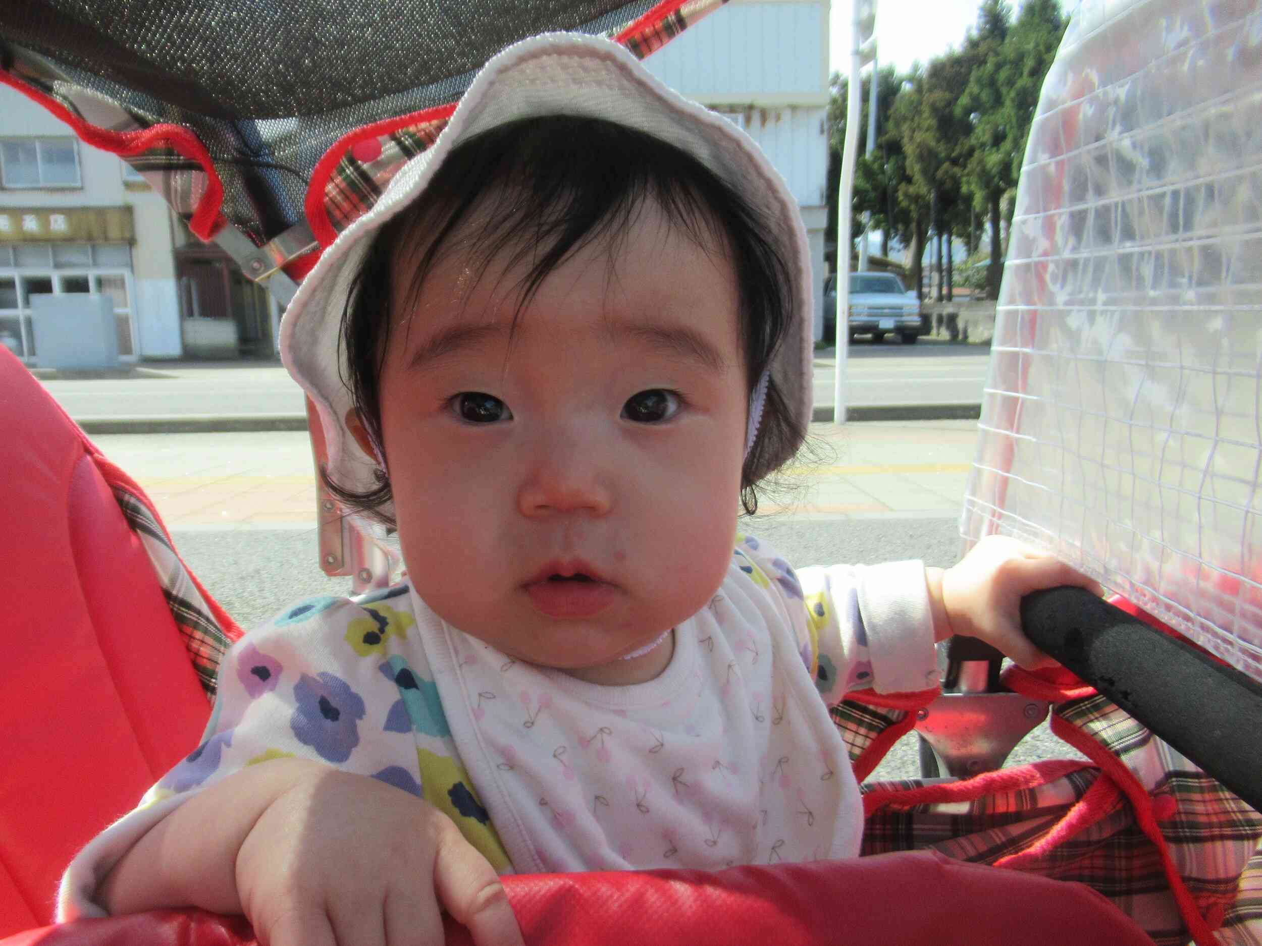 お散歩気持ちがいいね♪