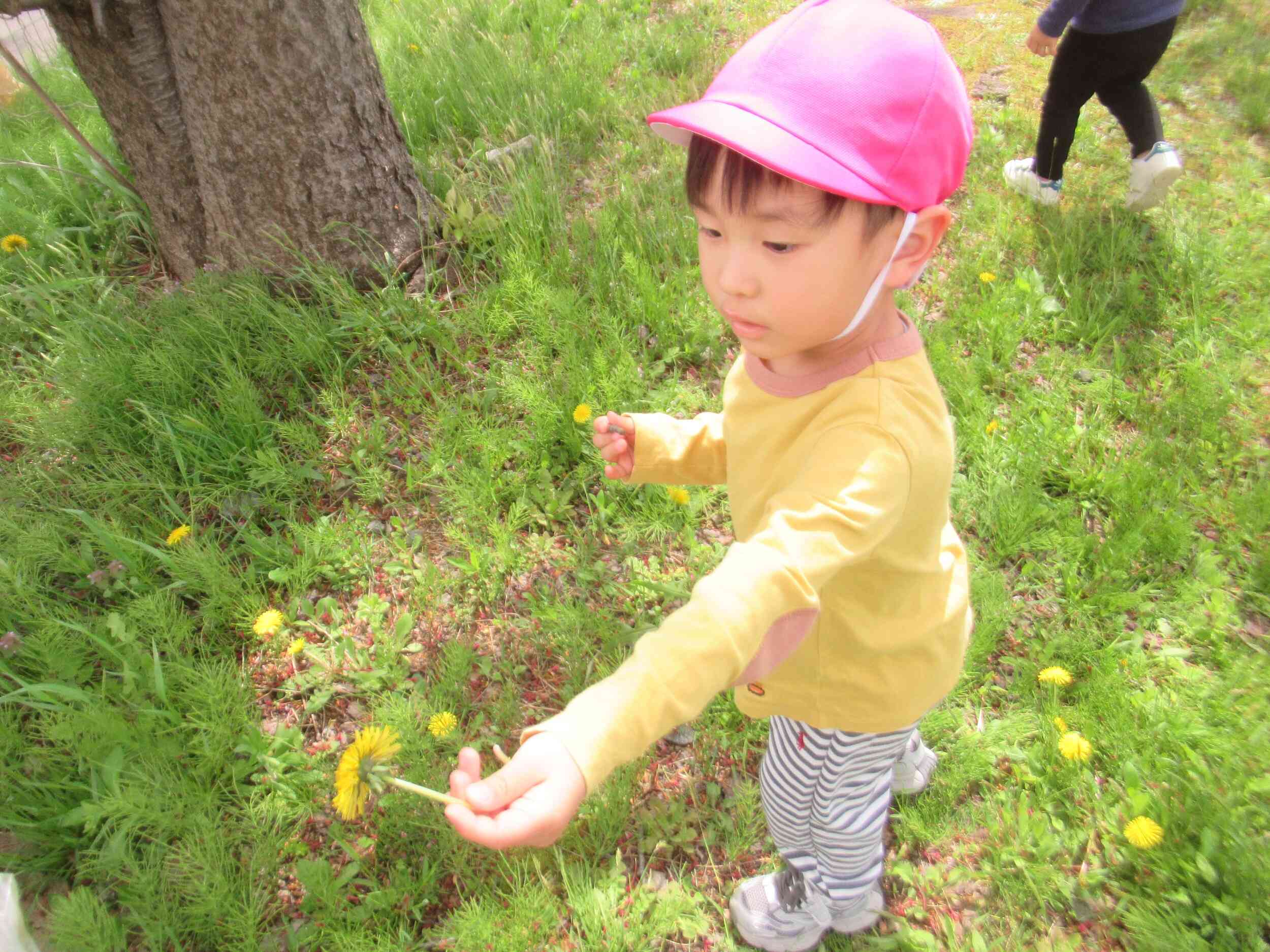 まだまだ春がいっぱい！