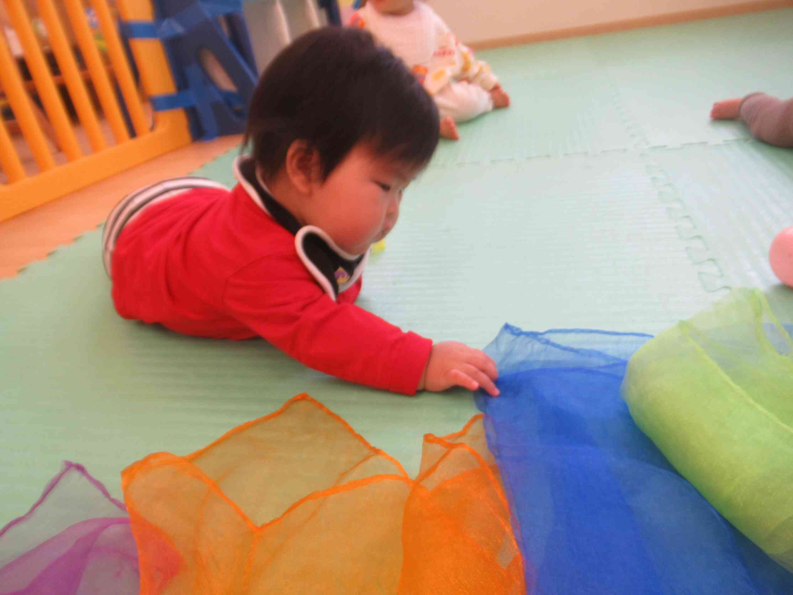 どれにしようかな・・・？