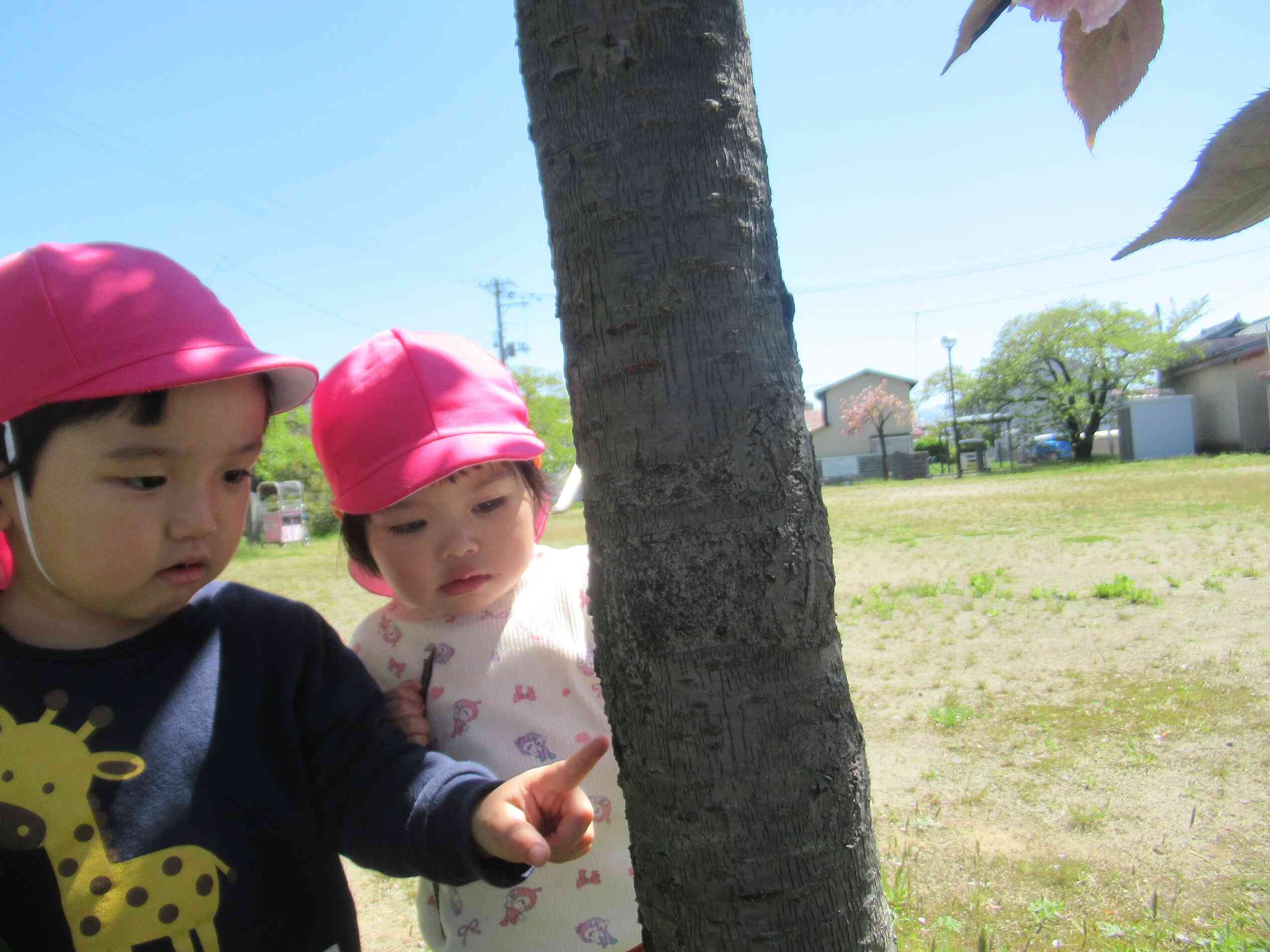 何かいるよ！