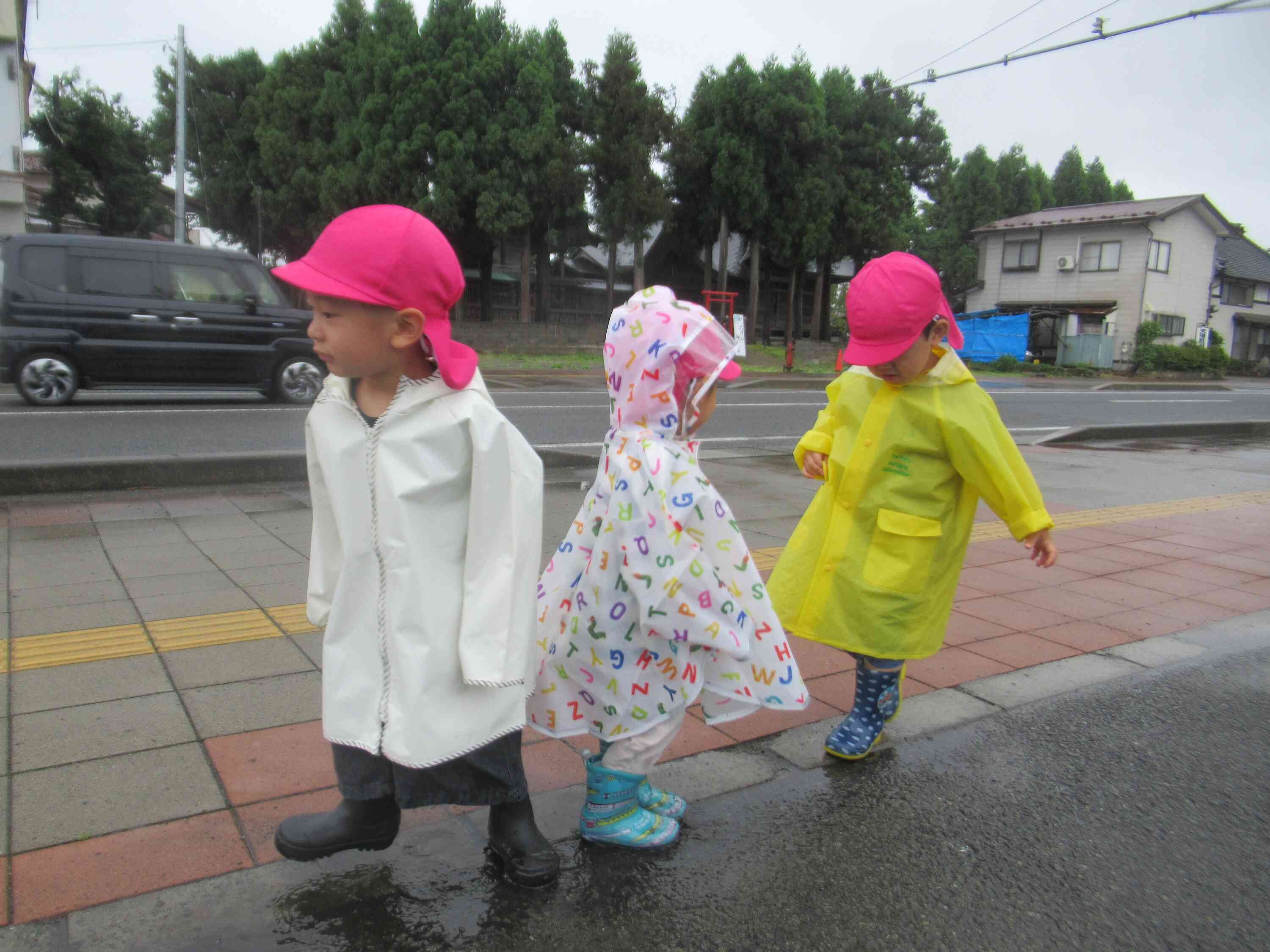 今日は雨降り！