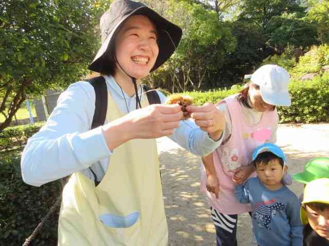 栗を見つけた先生!!