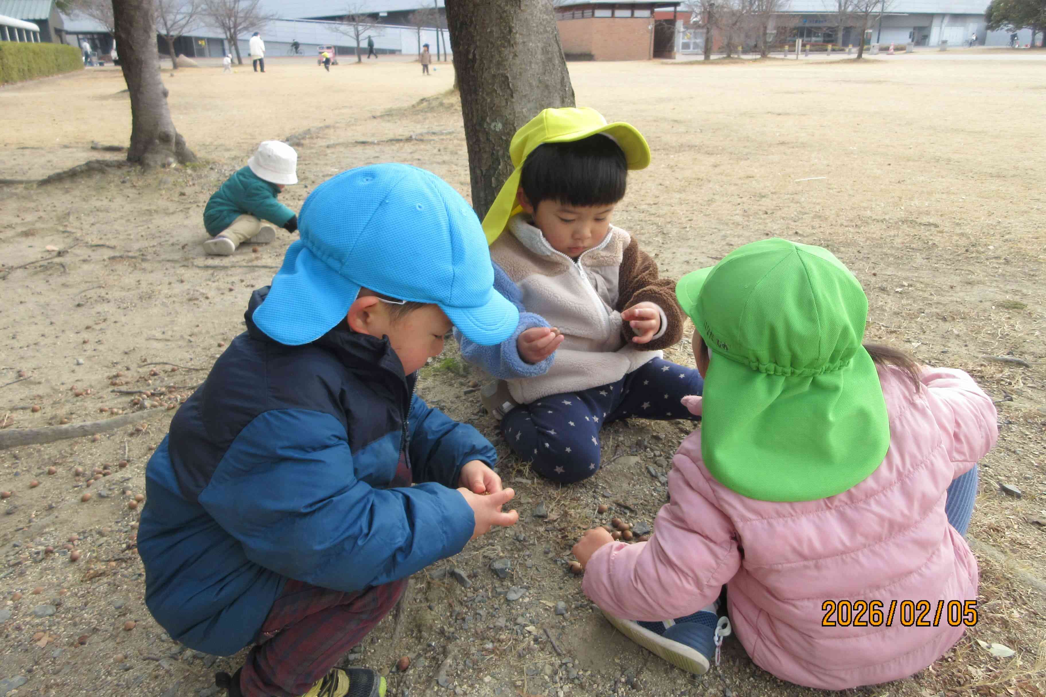 ドングリ拾いをしました♪