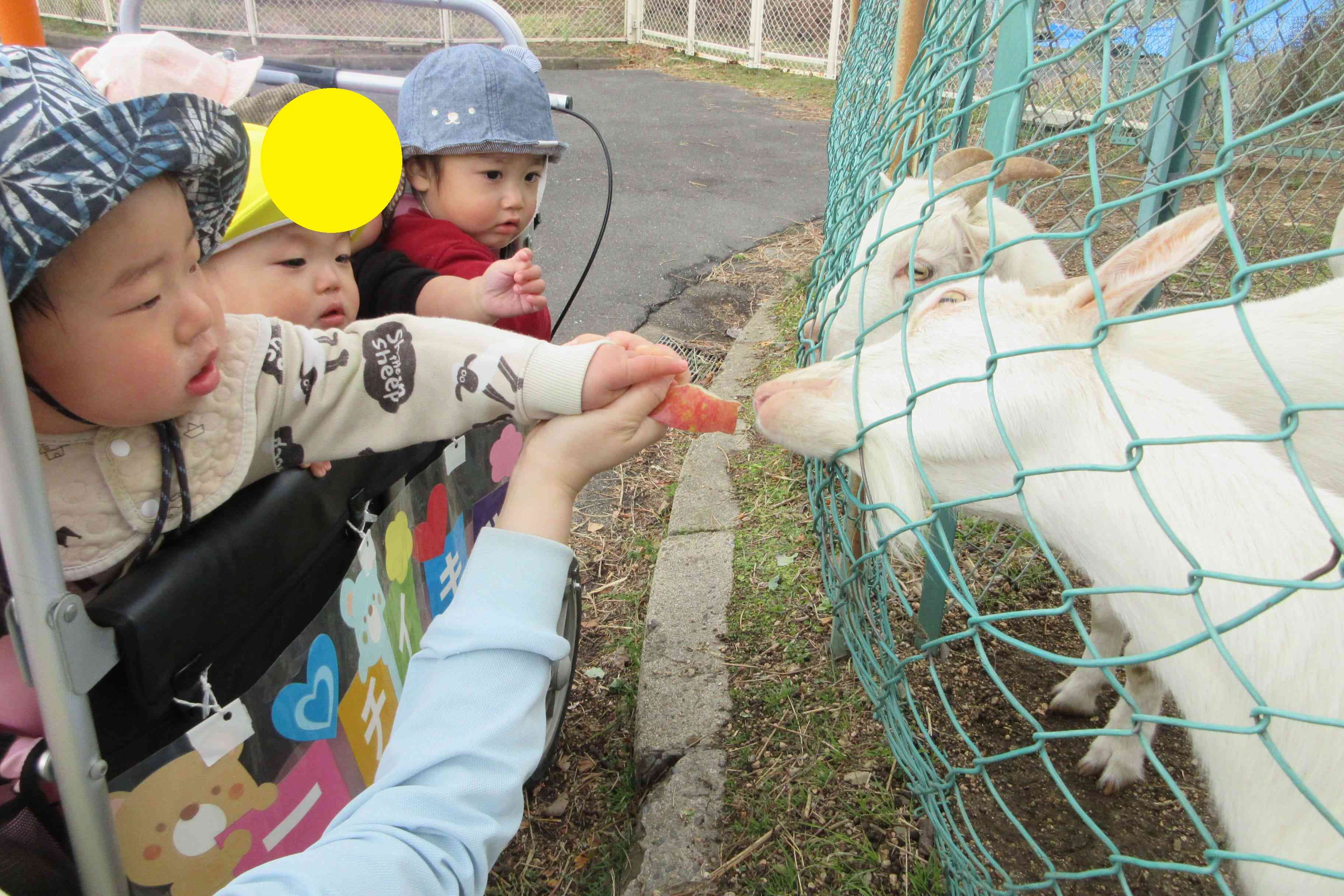 岡山大学へ散歩に行きました。
