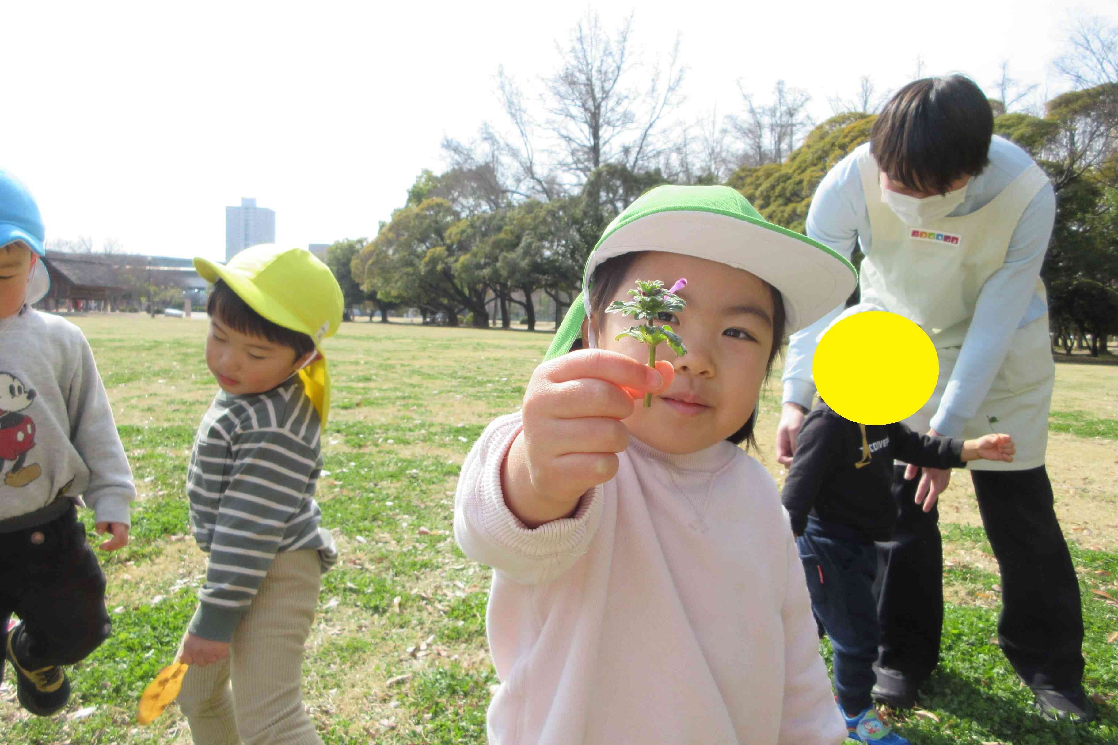 綺麗な植物を見つけたよ