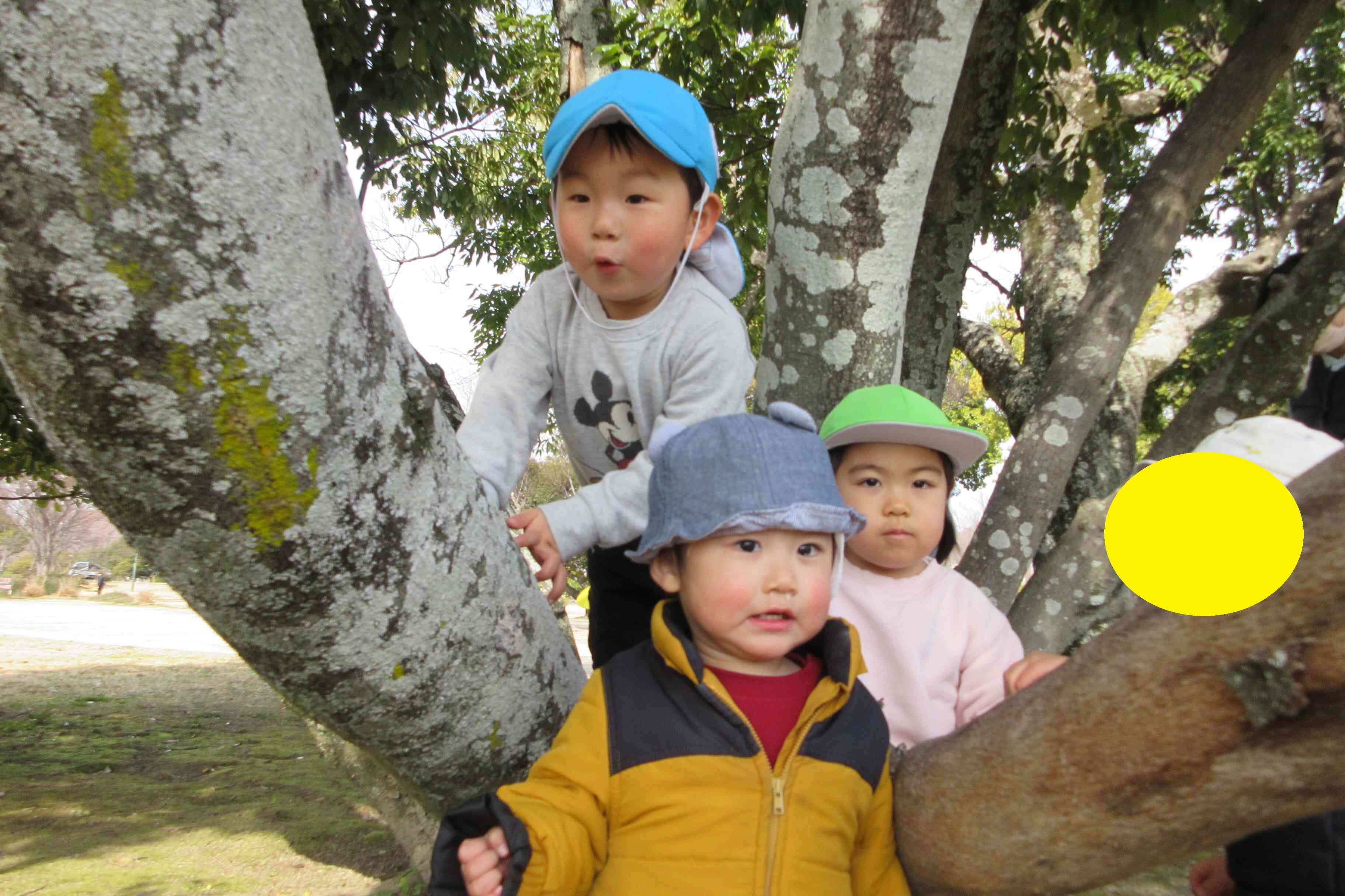 総合グラウンドへ散歩に行きました。