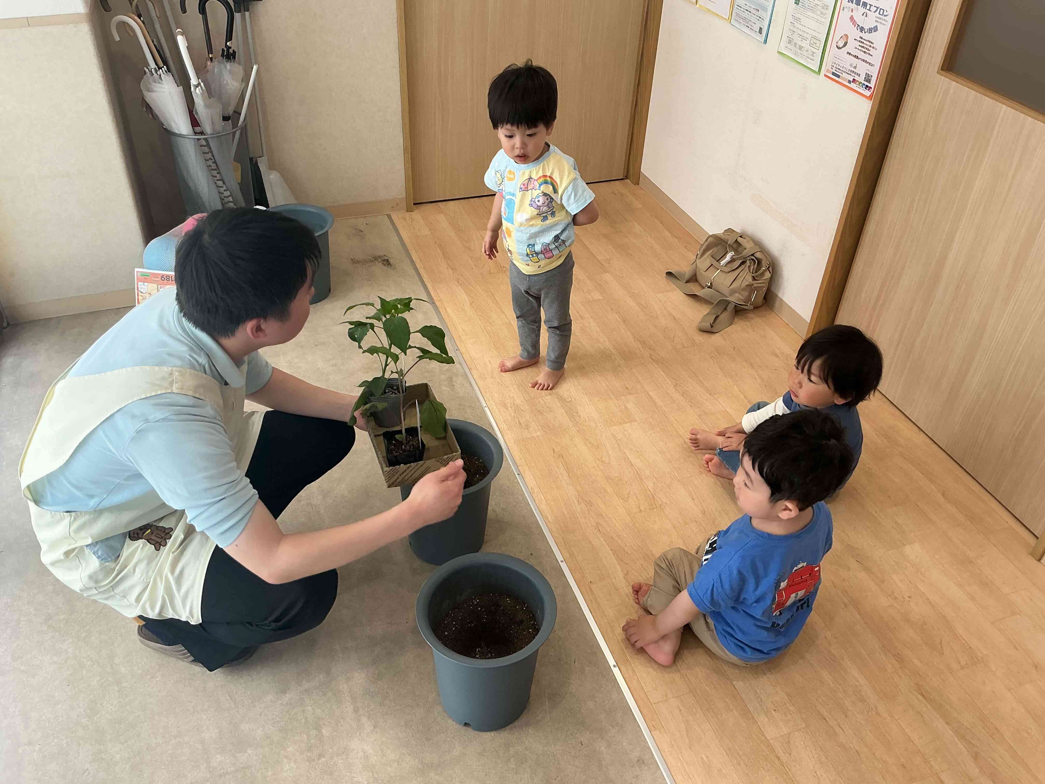 野菜の苗を植えました