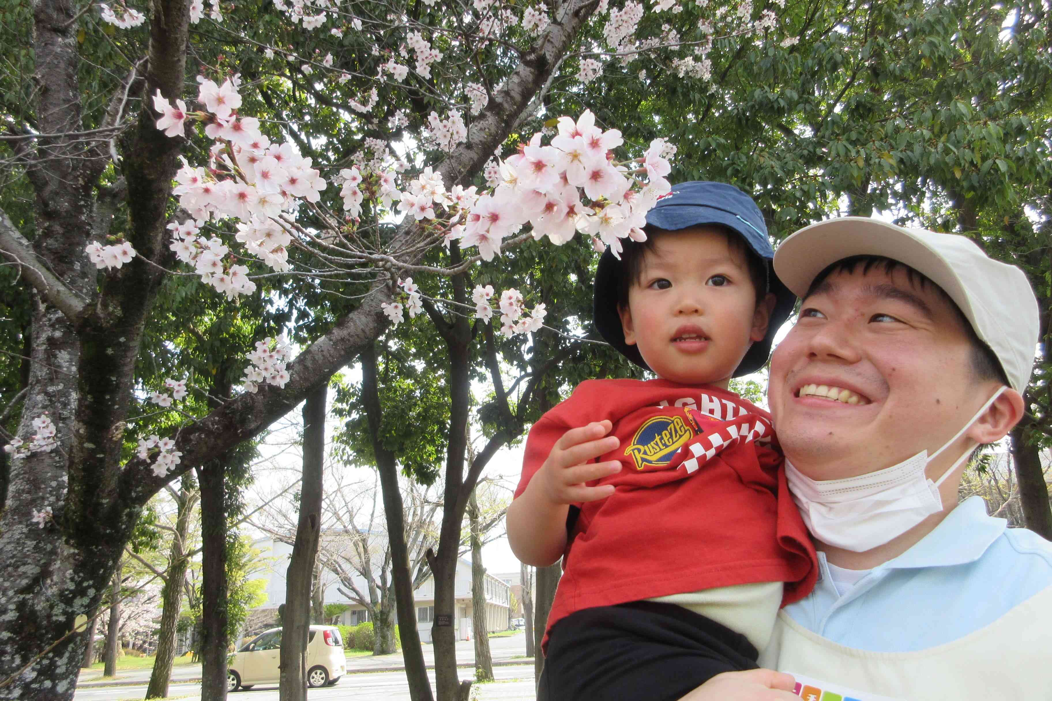 新年度初の散歩へ出かけました