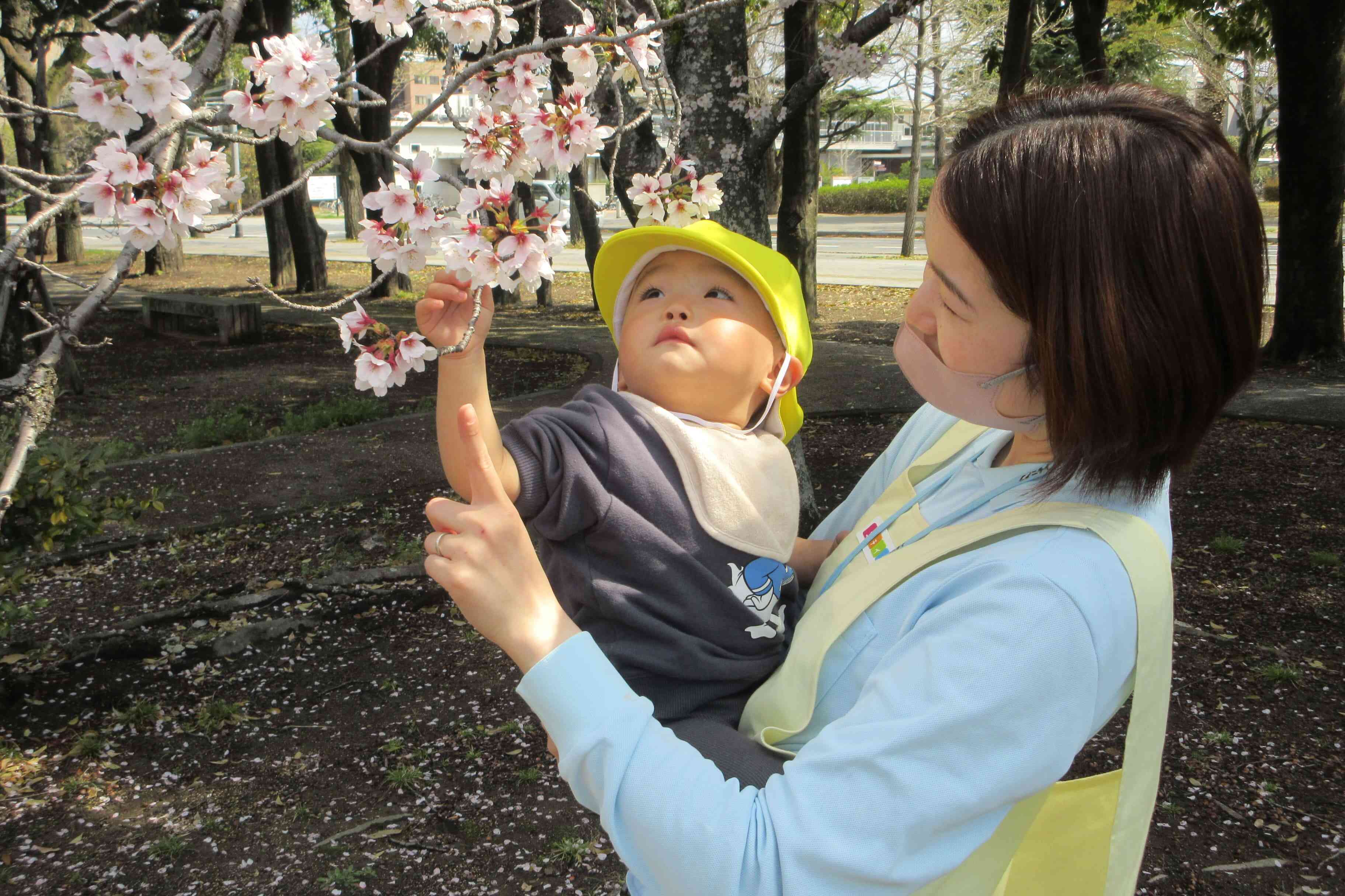桜がきれいに咲いてました。
