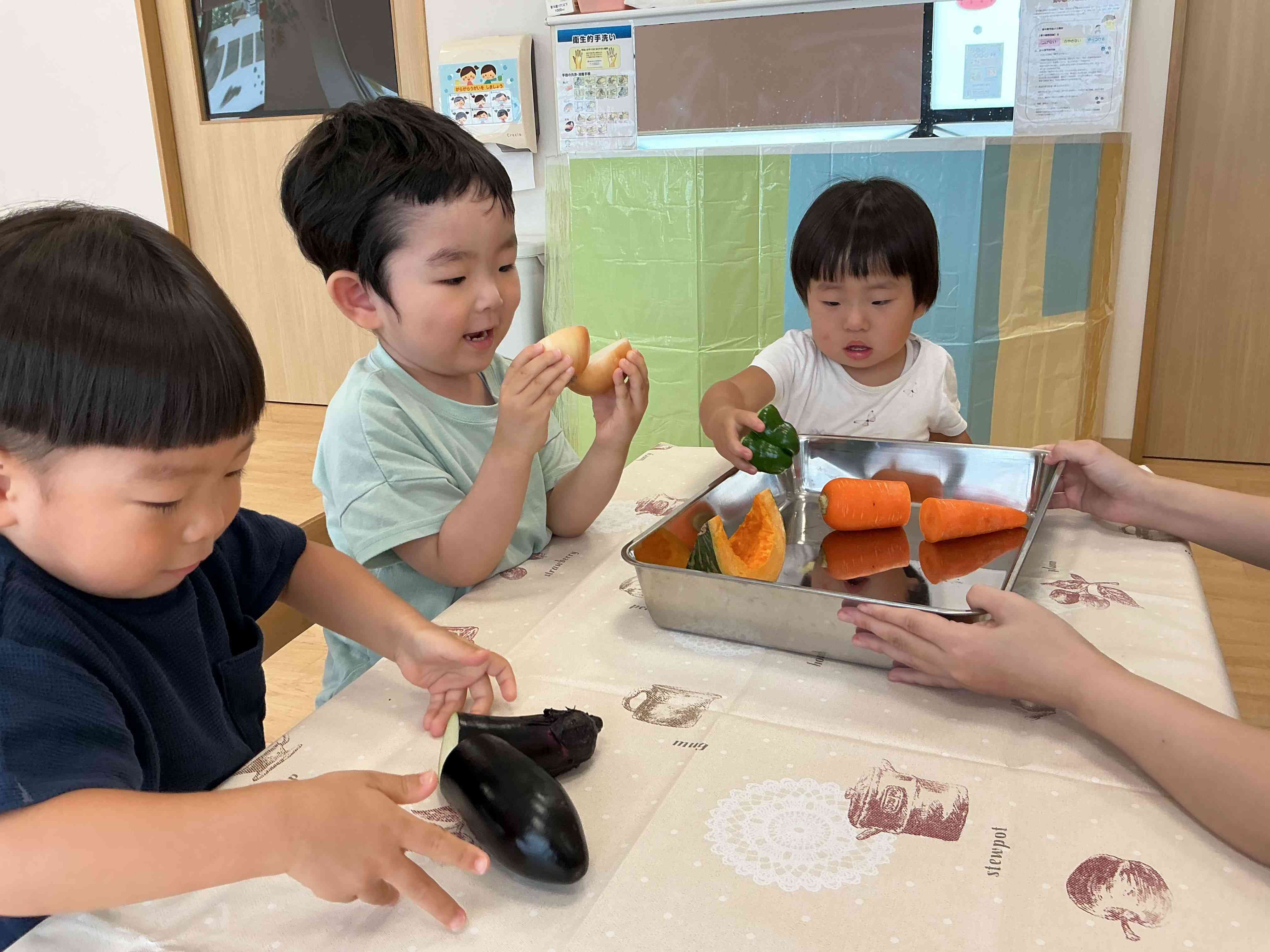 夏野菜について知りました。