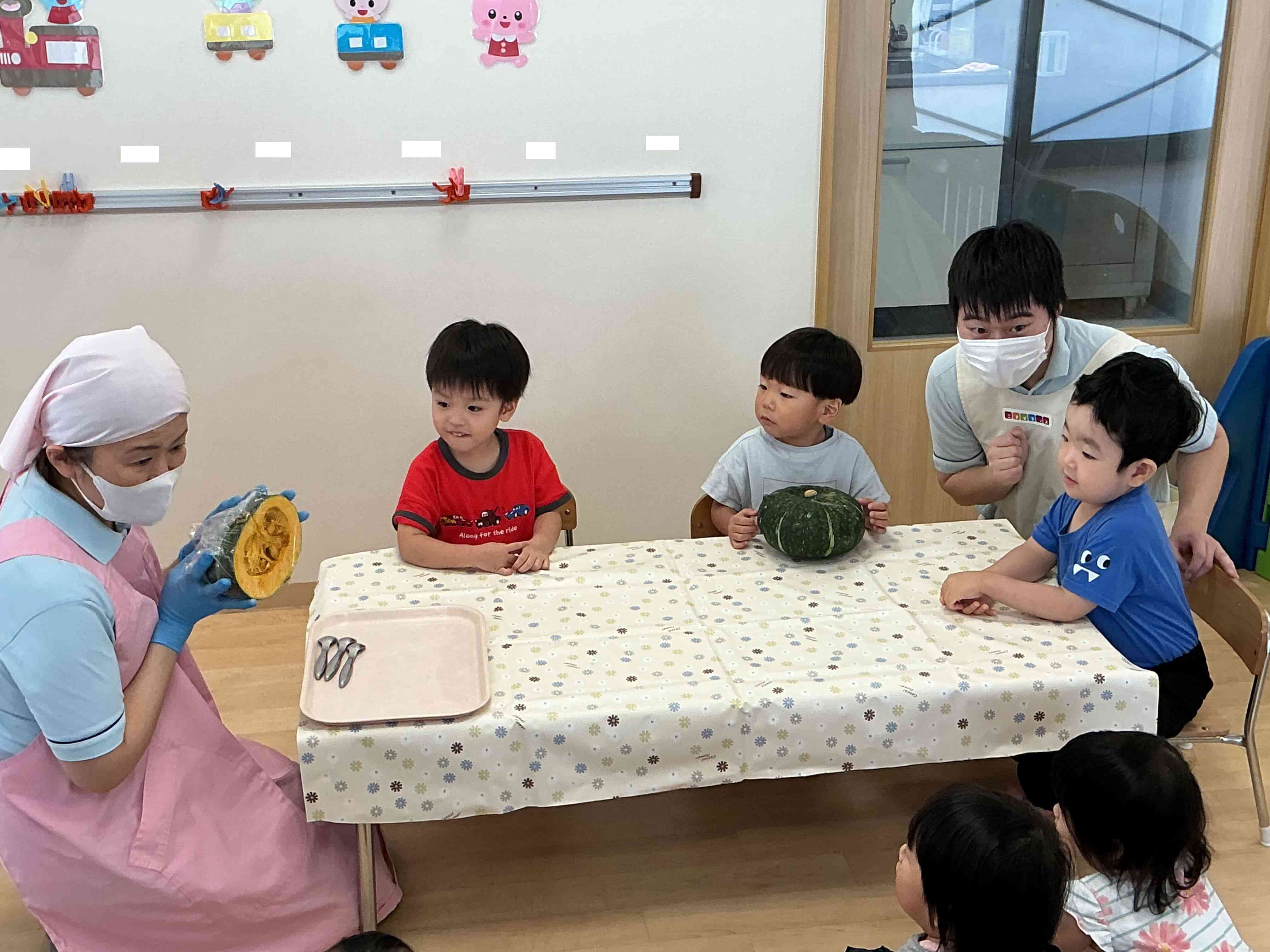 かぼちゃの観察