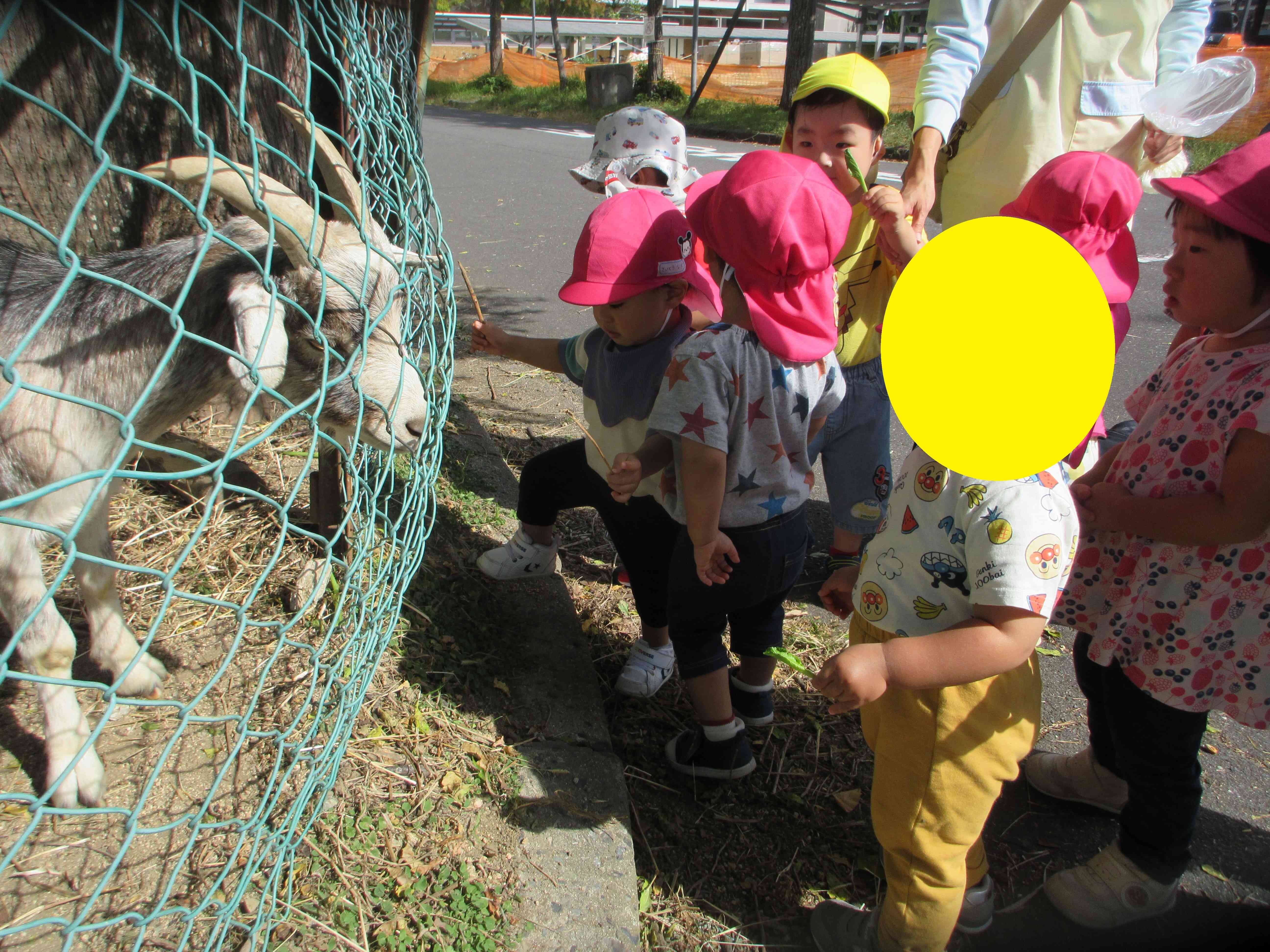 岡山大学方面へ散歩に行きました。