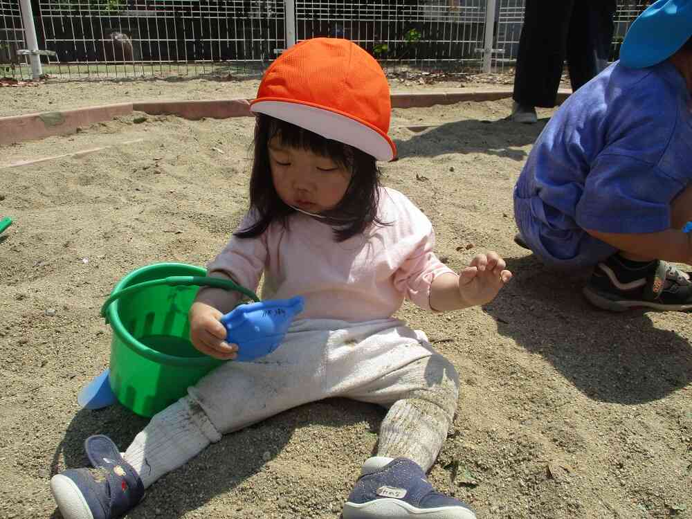 だいじな緑のバケツ♪