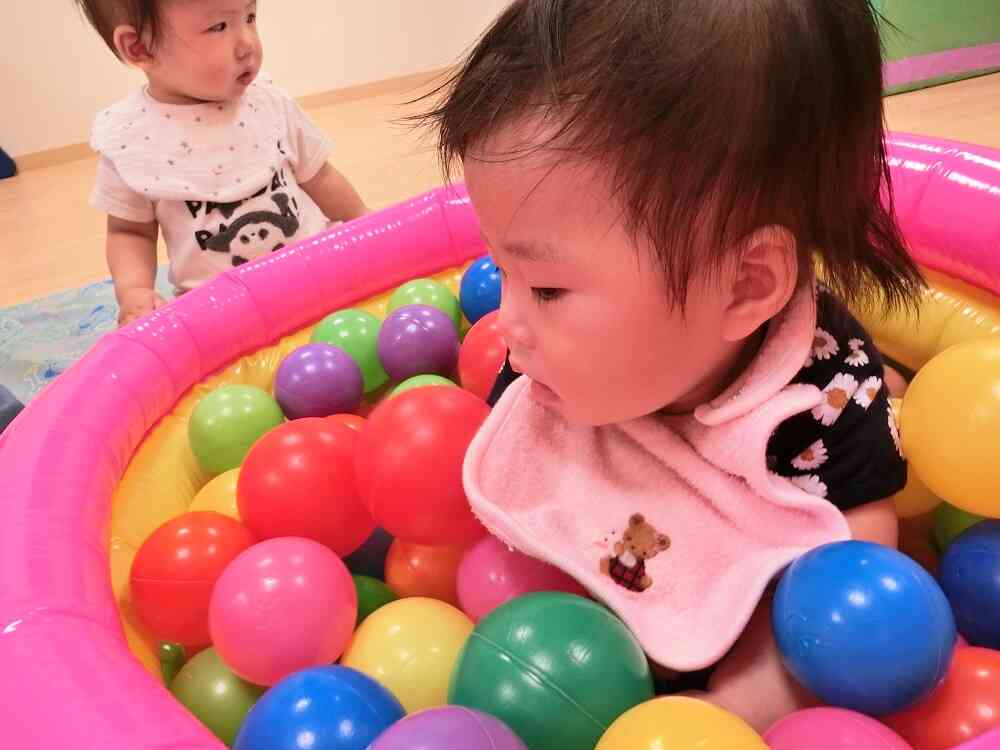 ひよこ組はボールプールをしたよ