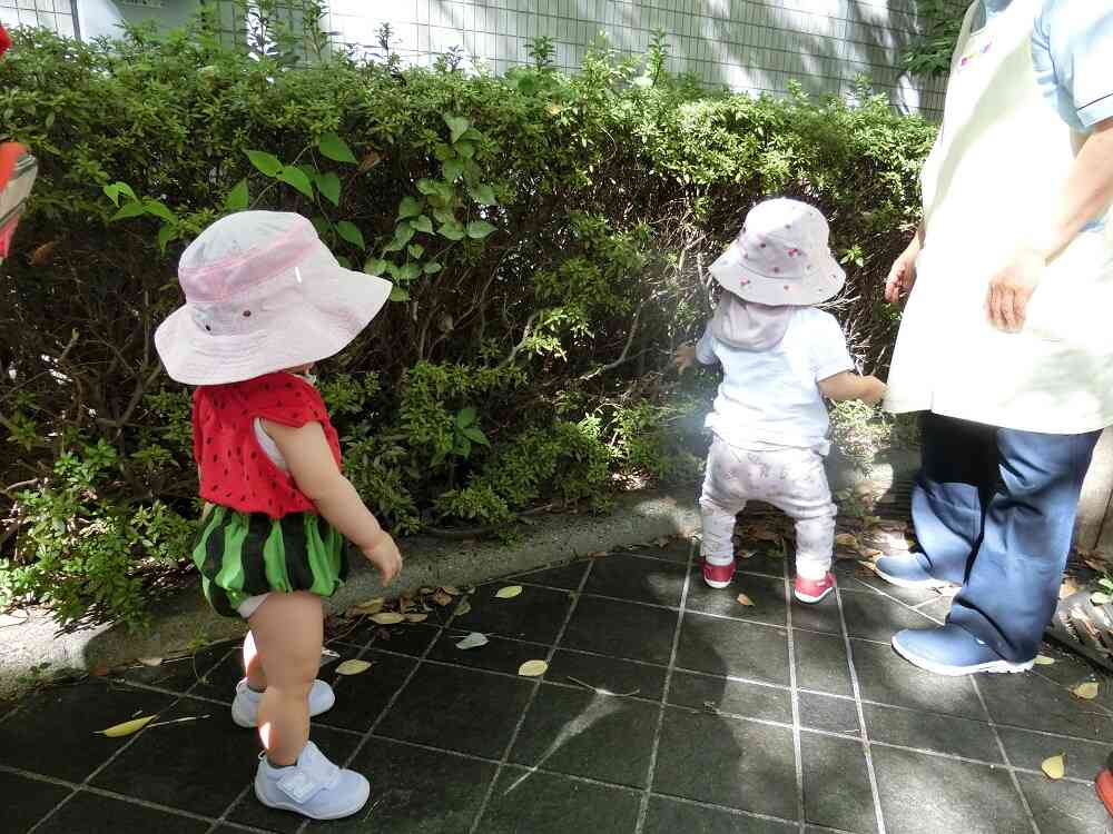 靴を履いてお散歩