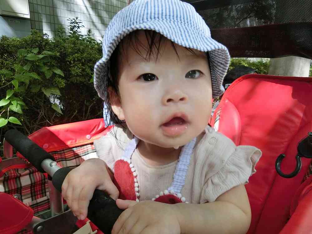 バギーに乗ってお散歩！