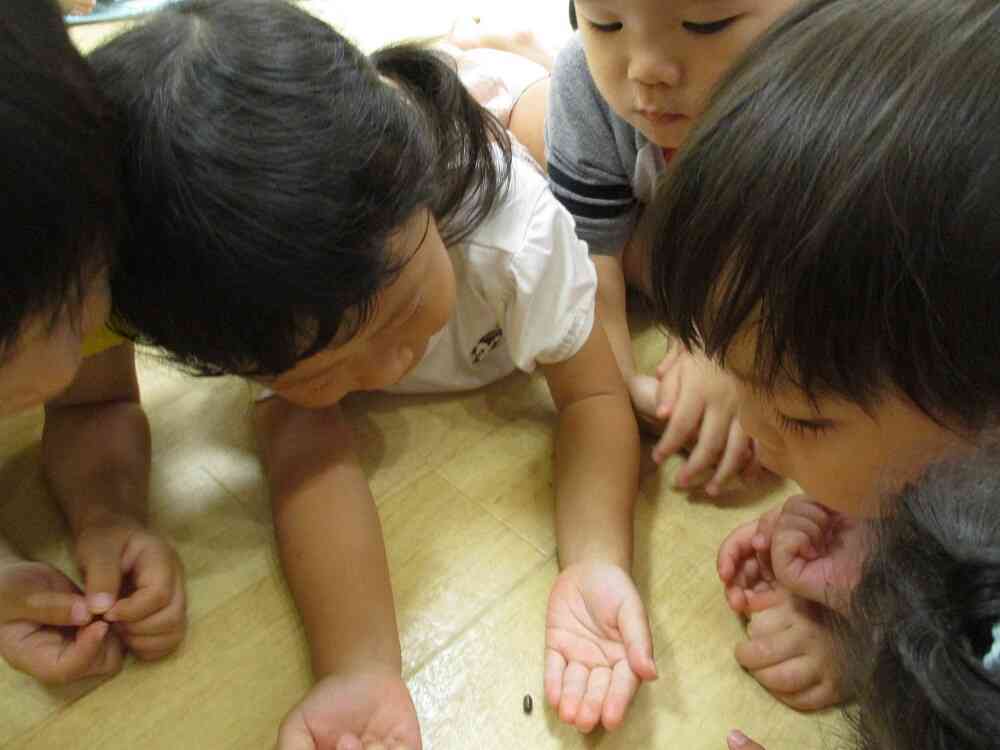 手のひらより小さいね！みんな大注目でしたよ＾＾