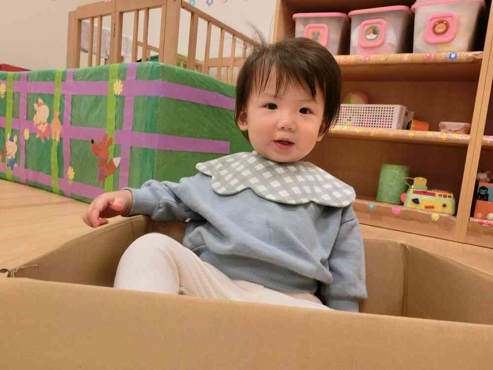 段ボールに入っちゃった！