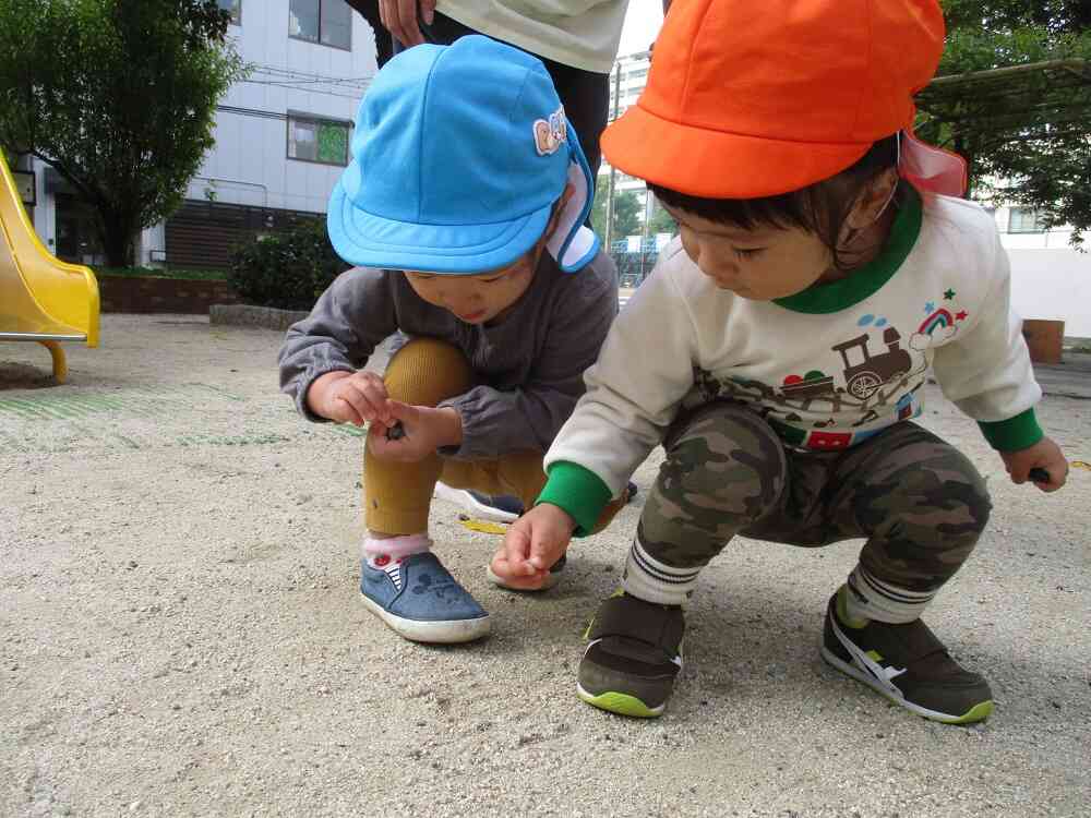 なにかあったよ！