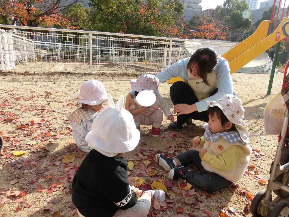 葉っぱがたくさん！