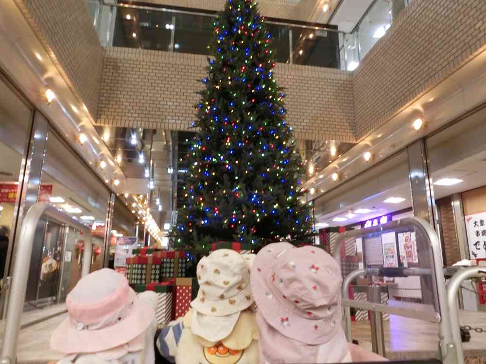 ひよこ組さんはクリスマスツリーを見にお出かけしてきましたよ＾＾