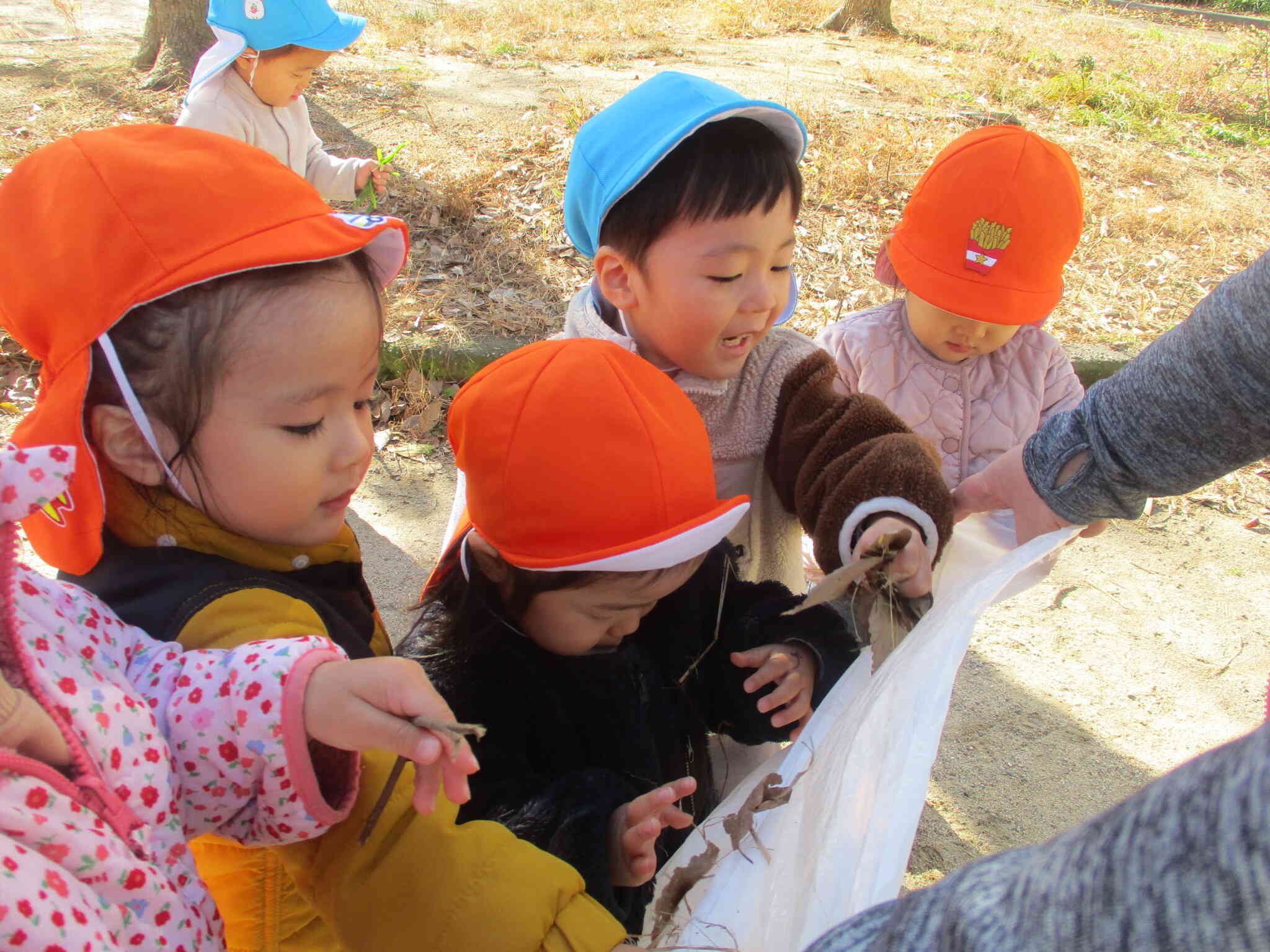 保育園の日常｜ニチイキッズ上本町保育園｜ニチイキッズ