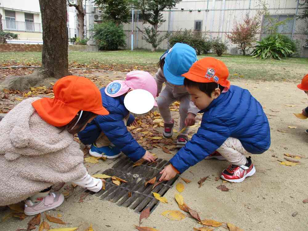 葉っぱが落ちてたよ！