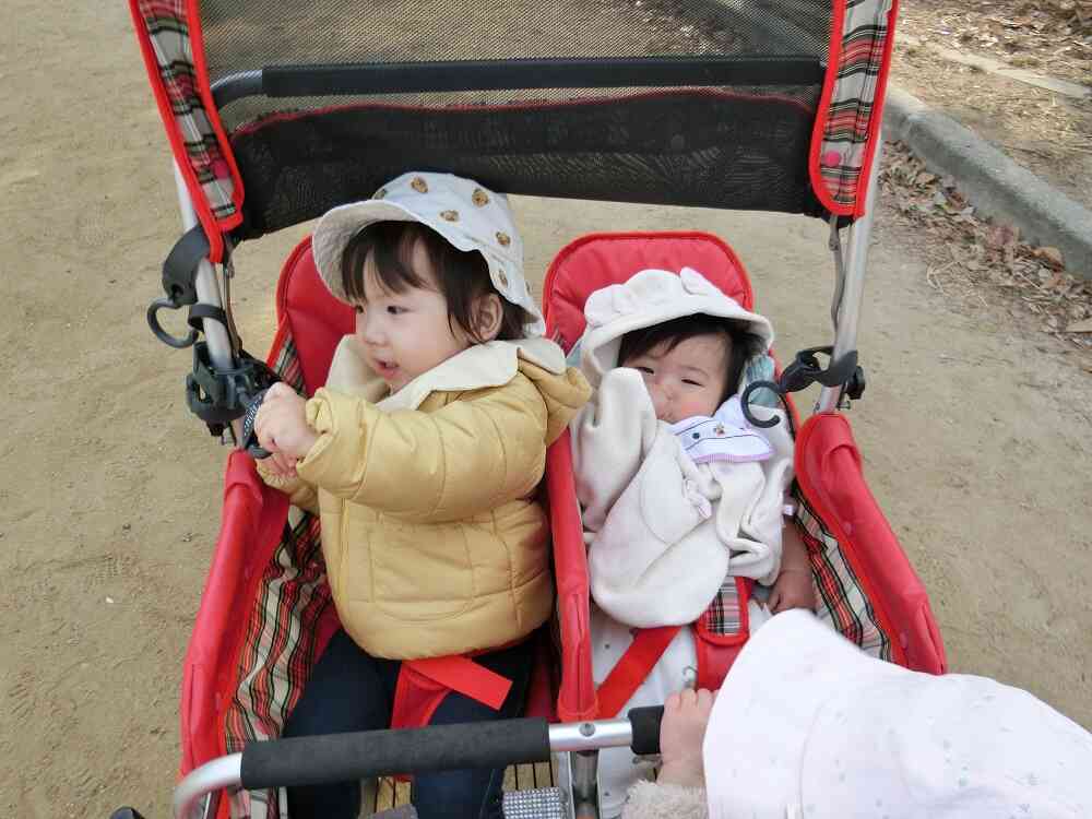 ひよこ組さんもお散歩大好き!