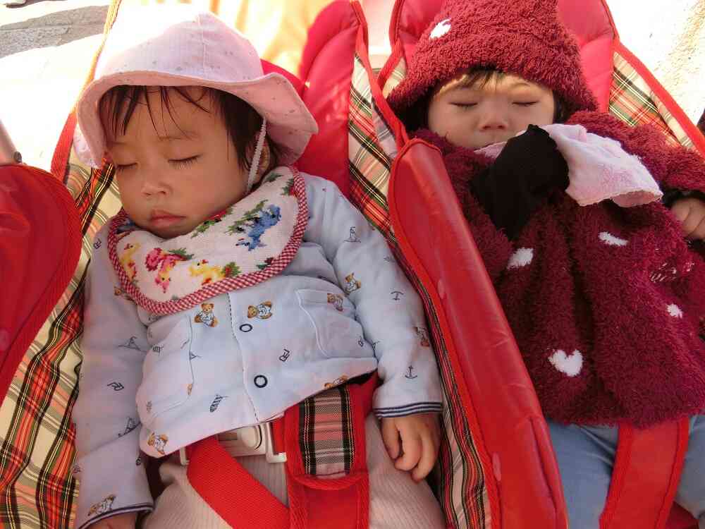 2人仲良く夢の中へ…♪