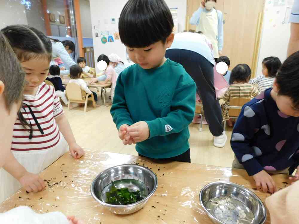 水に戻してみよう