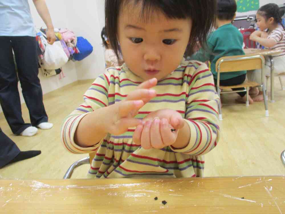 食育をしたよ♪～乾物に触れよう～