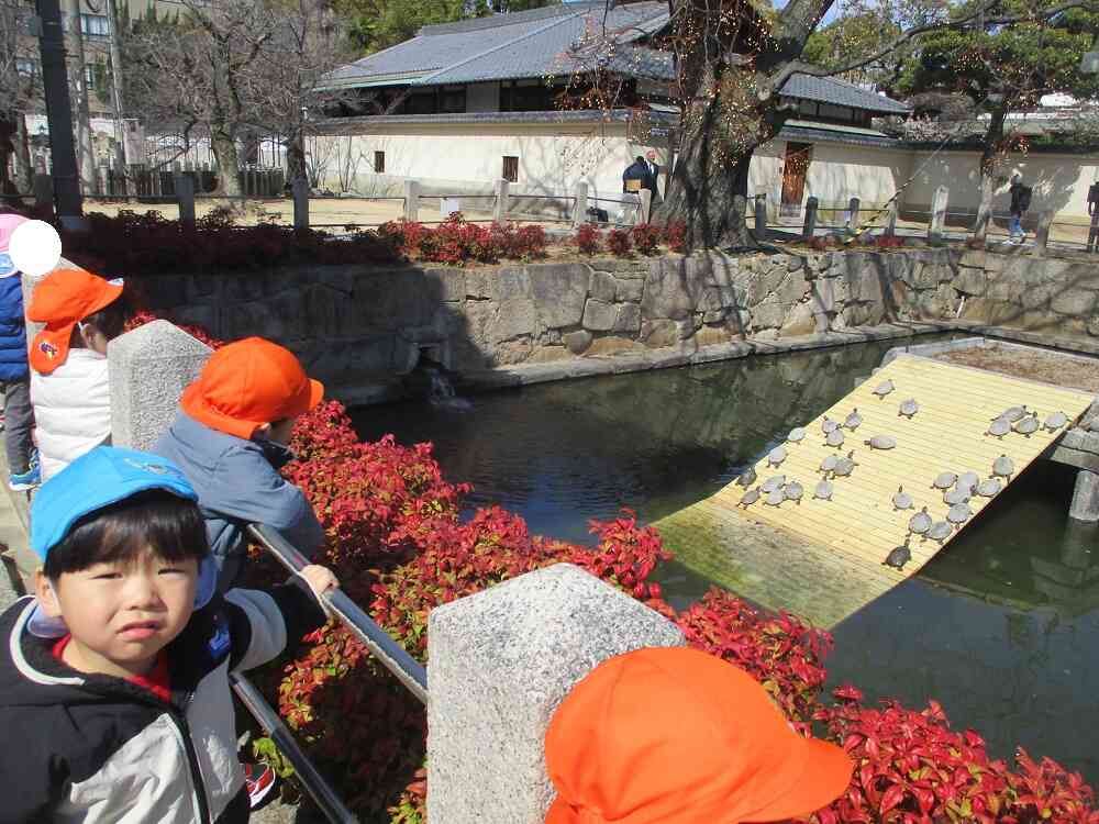 亀さんを見に行ったよ♪