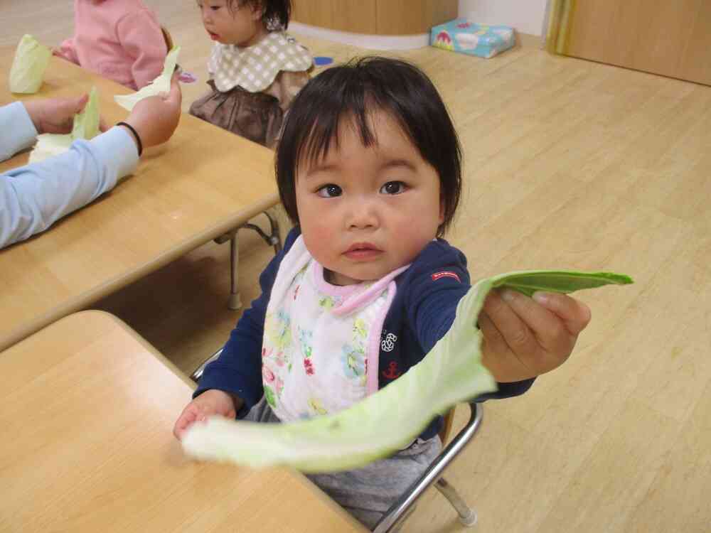 この葉っぱ、すごく大きいね