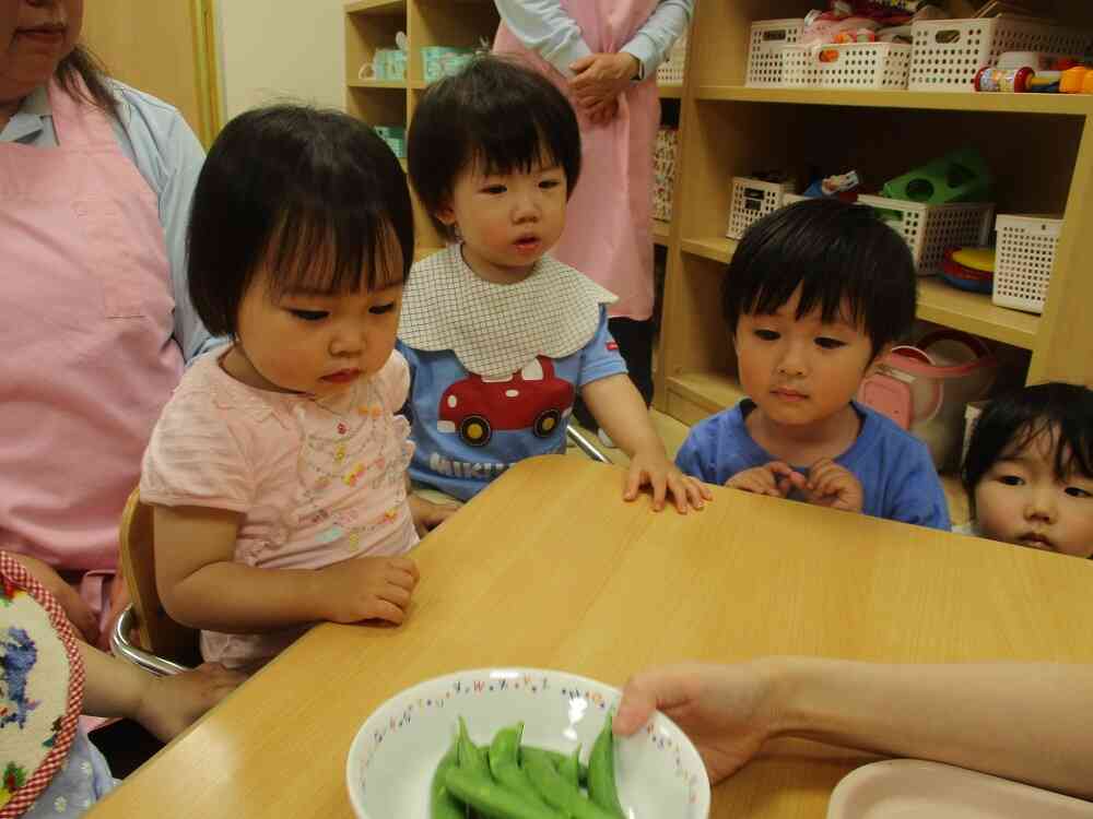 ５月の食育♪（まめむき）