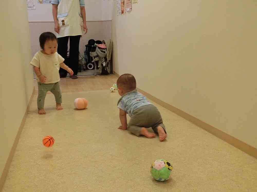 あっボールだ！