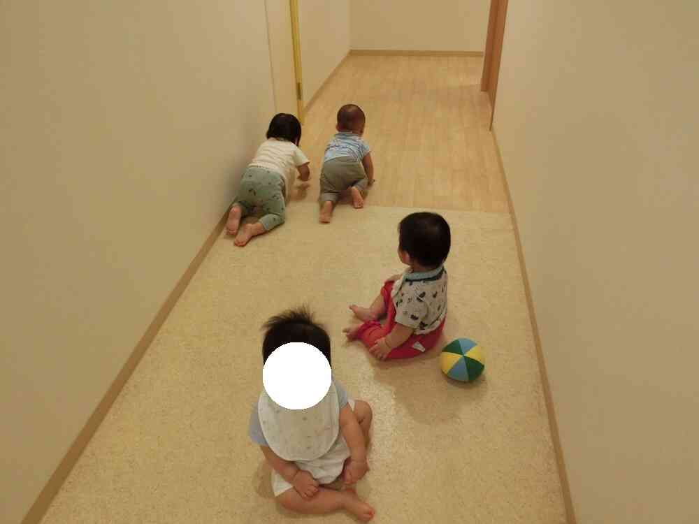 どっちが速いかな？