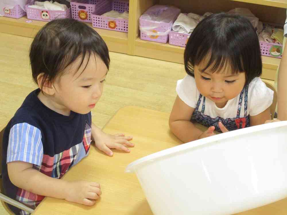 粉の状態の米粉を観察中…