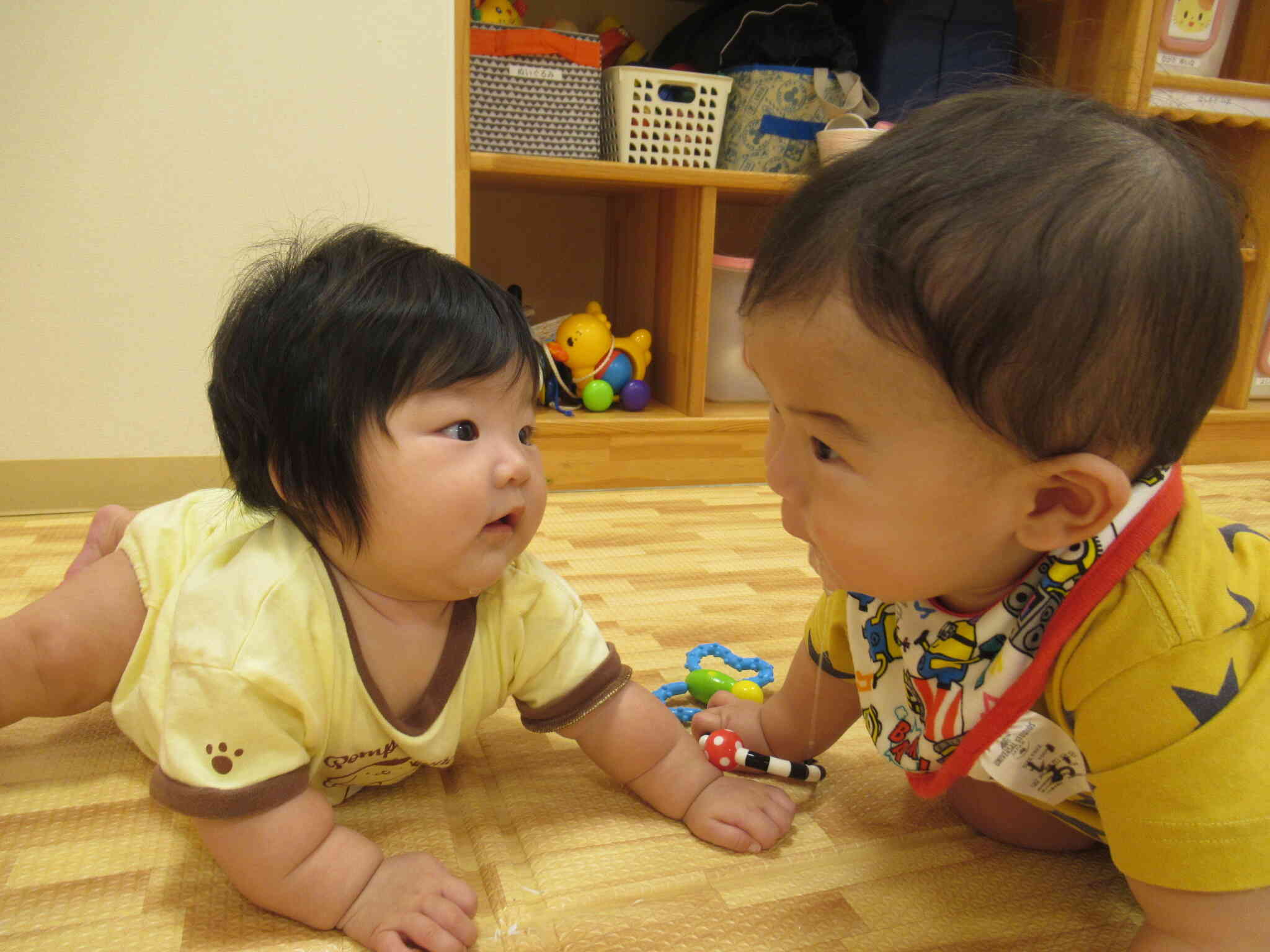 よちよちひよこさん