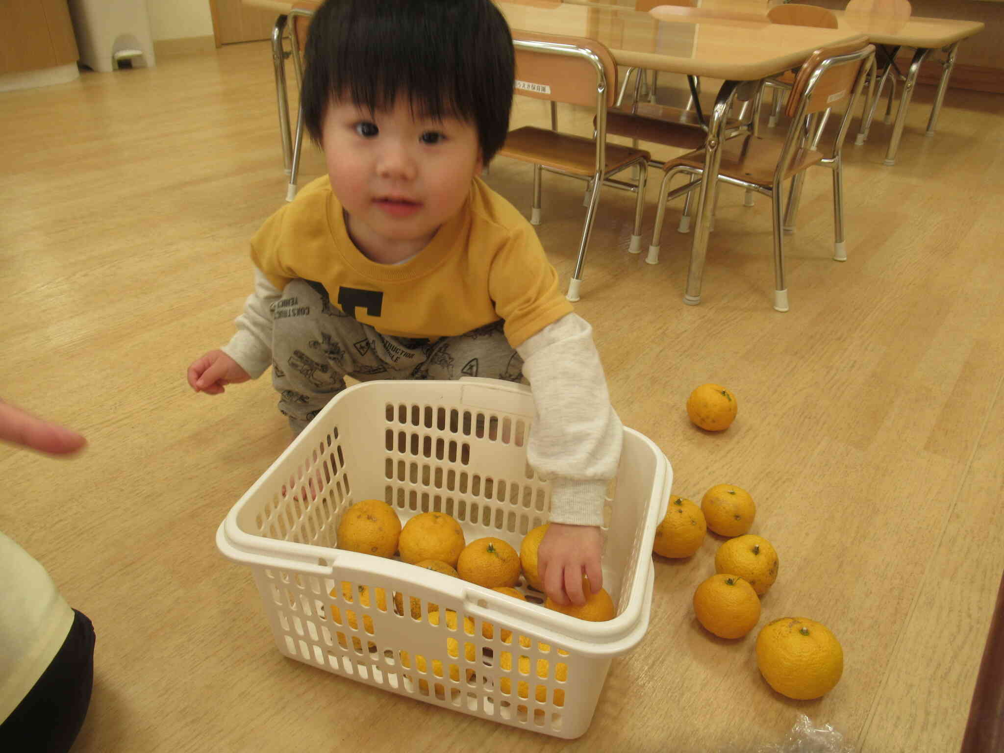 冬至にちなんで・・・