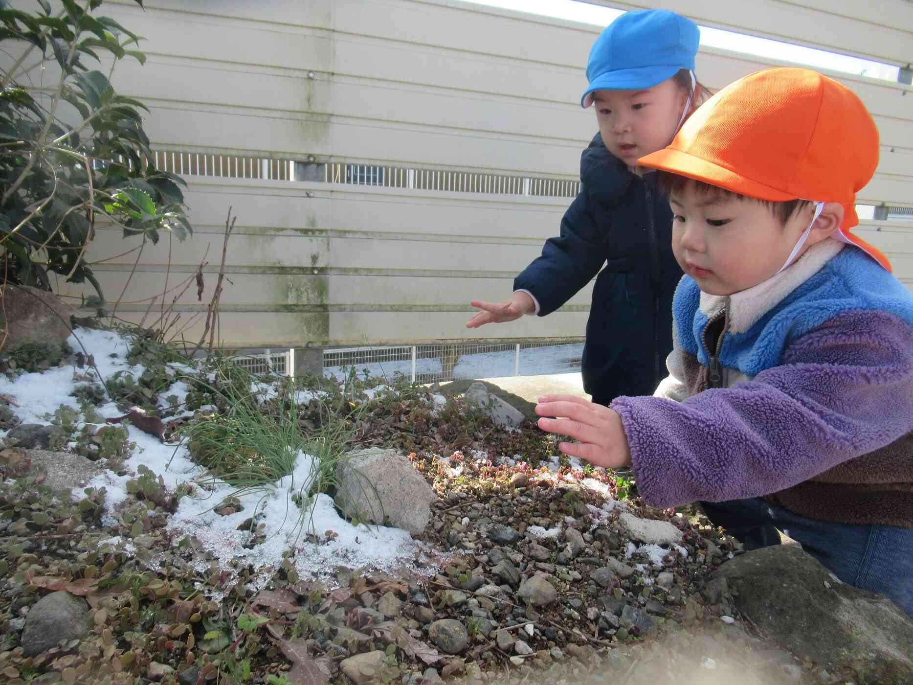 ゆきやこんこん