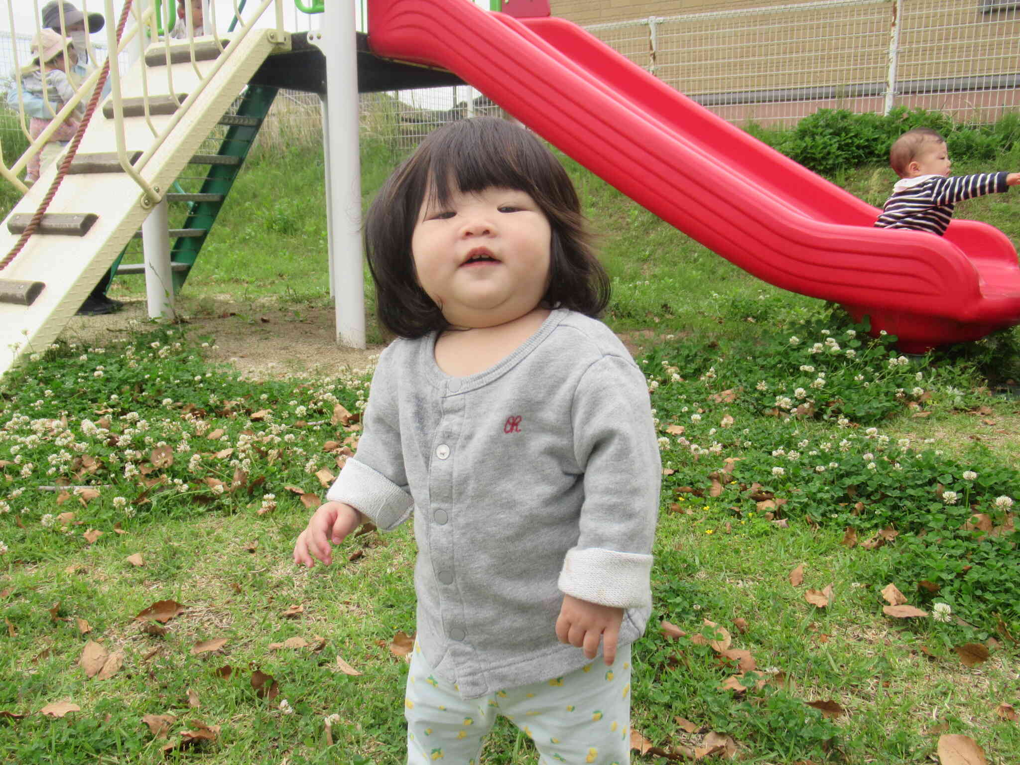 ひよこ組のお友だち