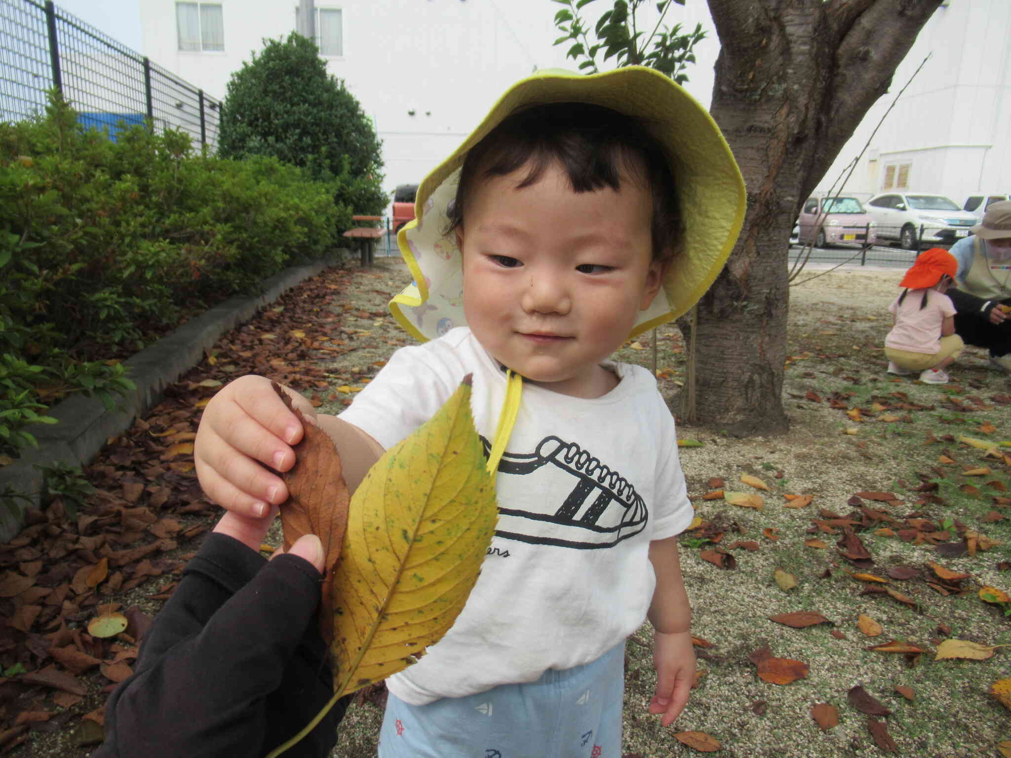 公園遊び