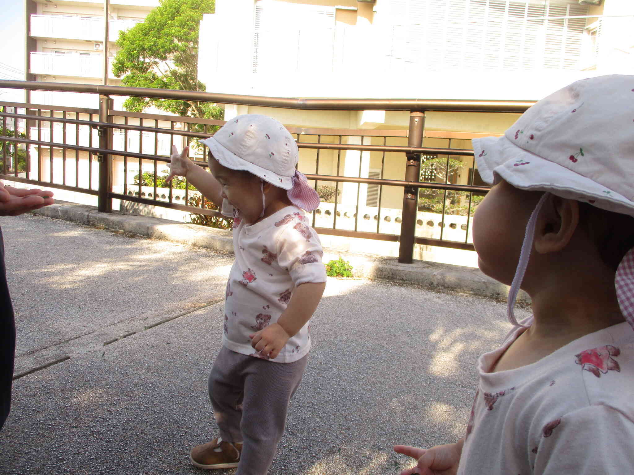 散歩がだいすき！