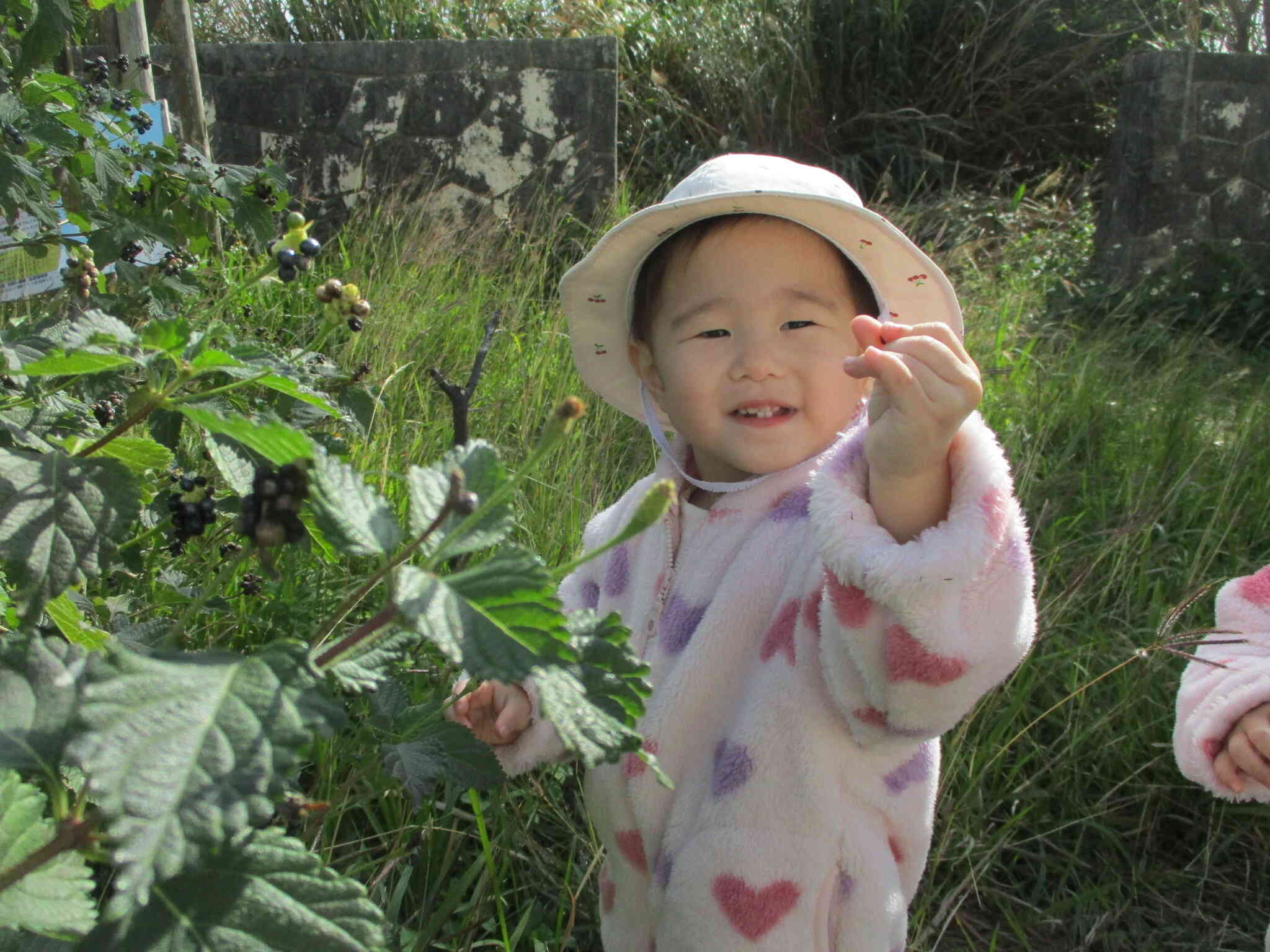 お天気いいね～！