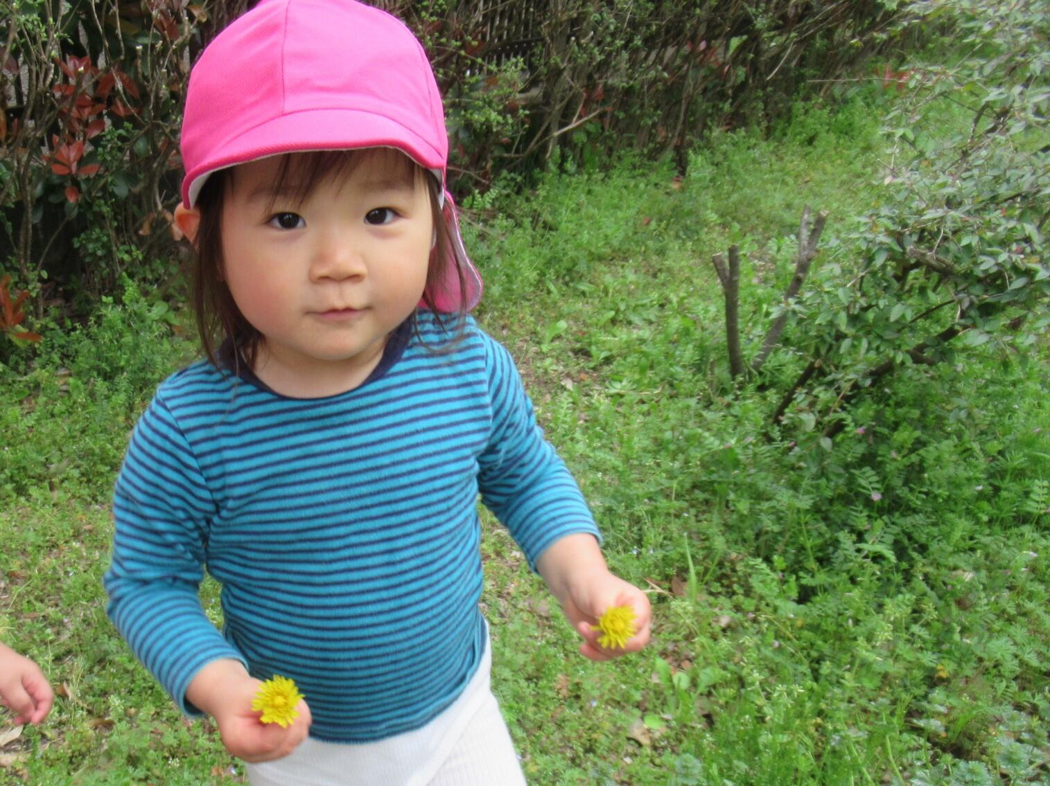 お花が大好きなきりん組（2歳児）さん