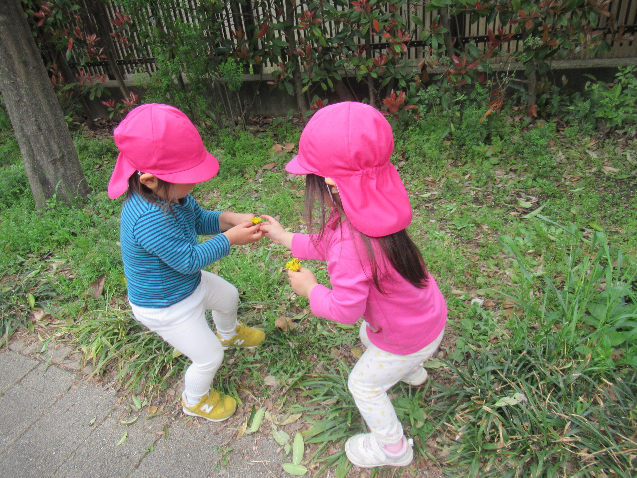 どうぞ～！とお友だちにおすそ分けする子も。おすそ分け精神が素敵でした♪