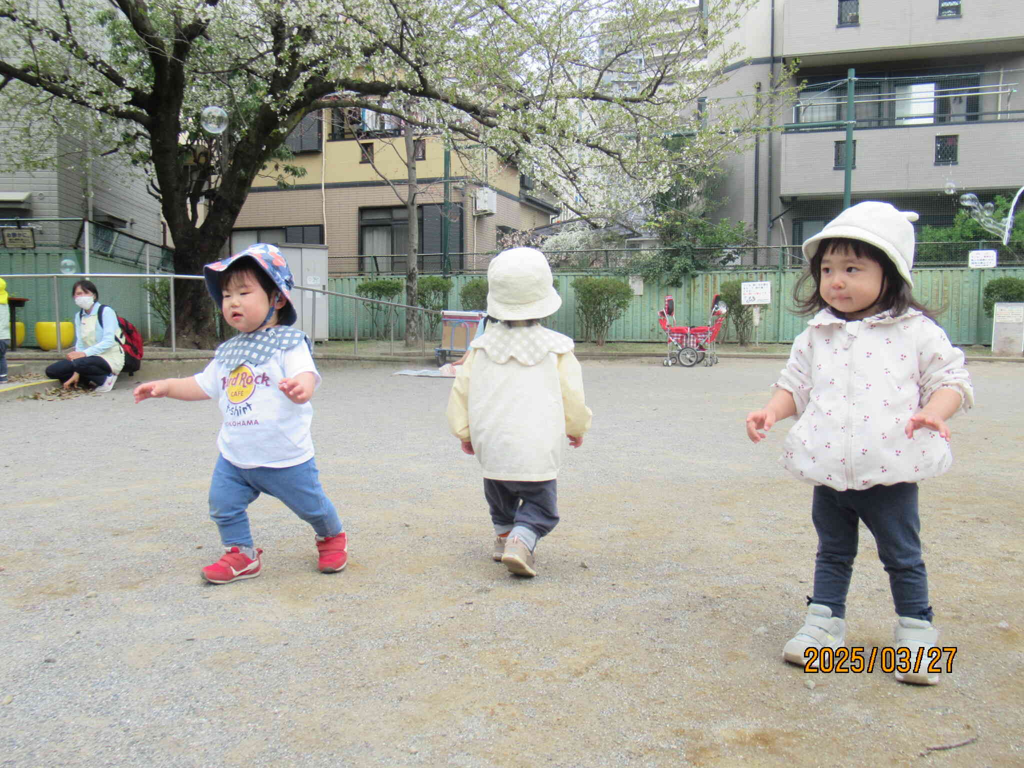 うさぎ組(0歳児)さんのお友だちもたくさん歩けるようになってきました☆