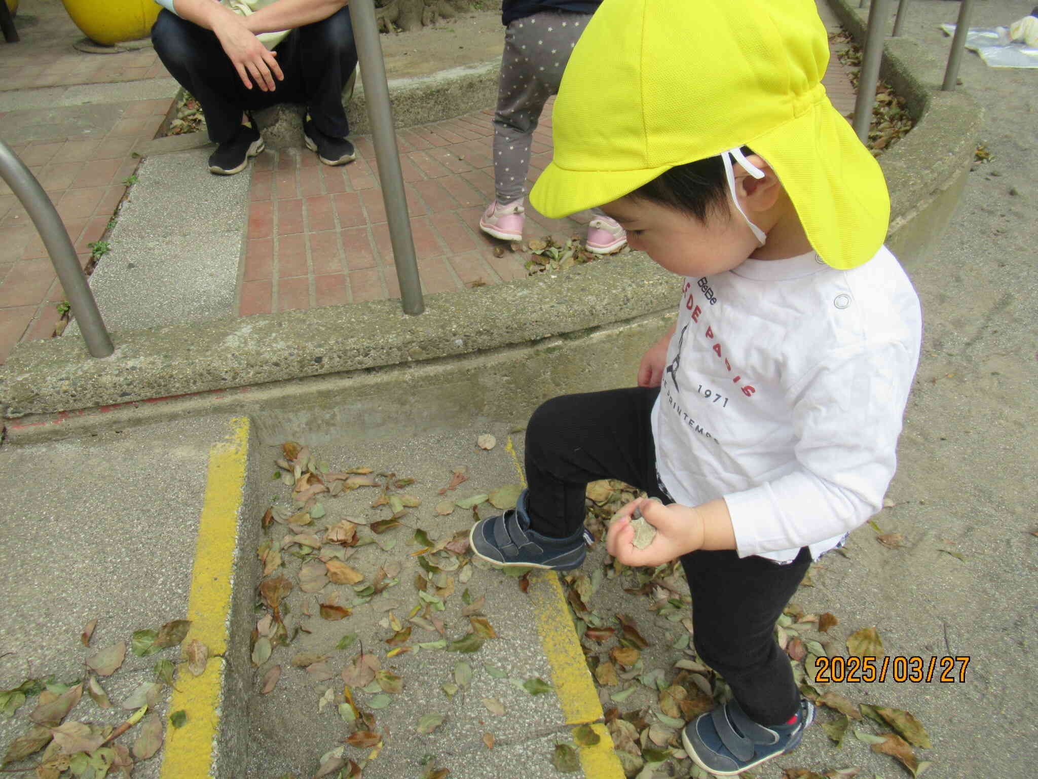 石をたくさん集め中…何をするのかな？