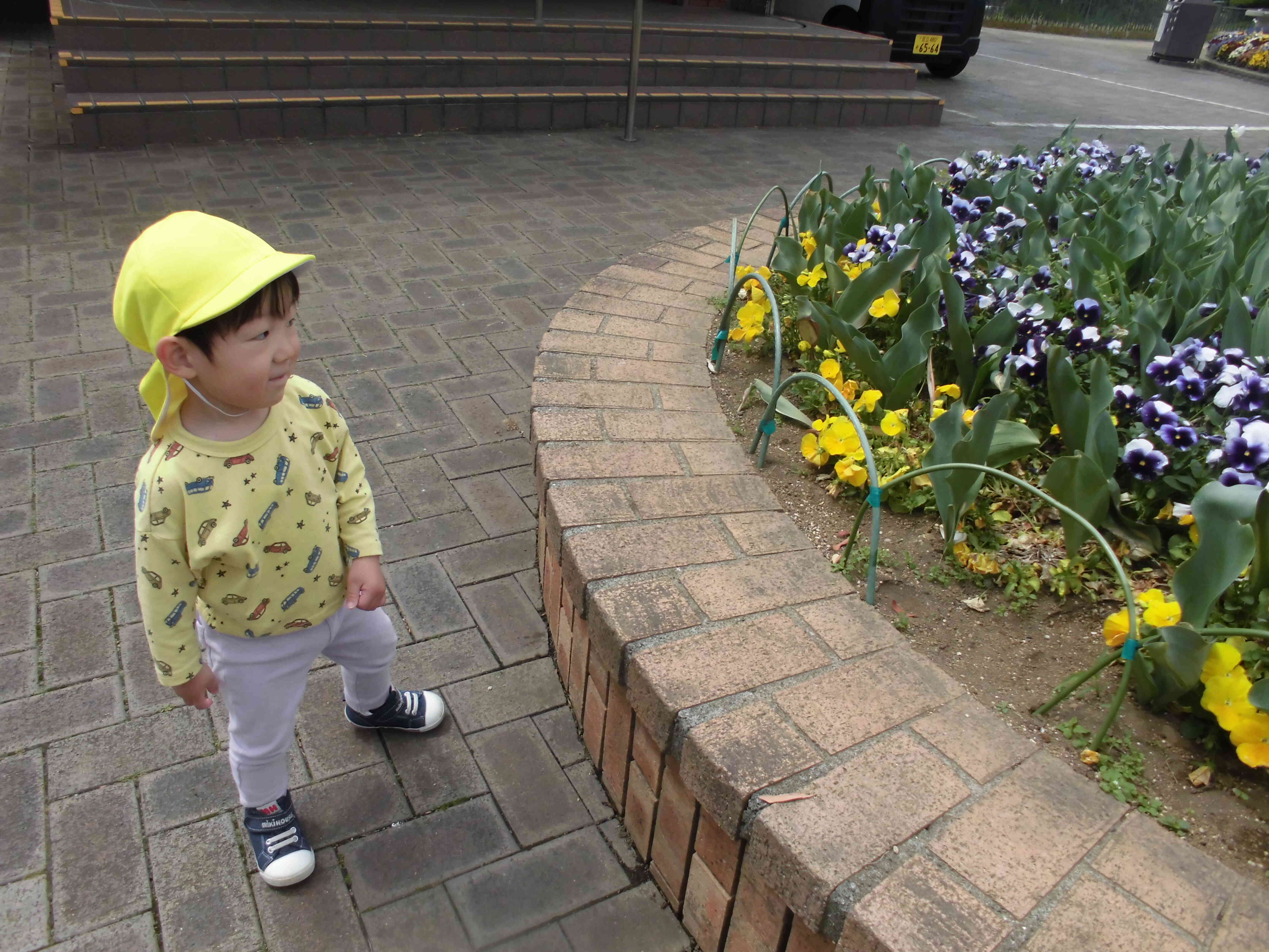 お花きれいだね！蝶々さんいるかな？