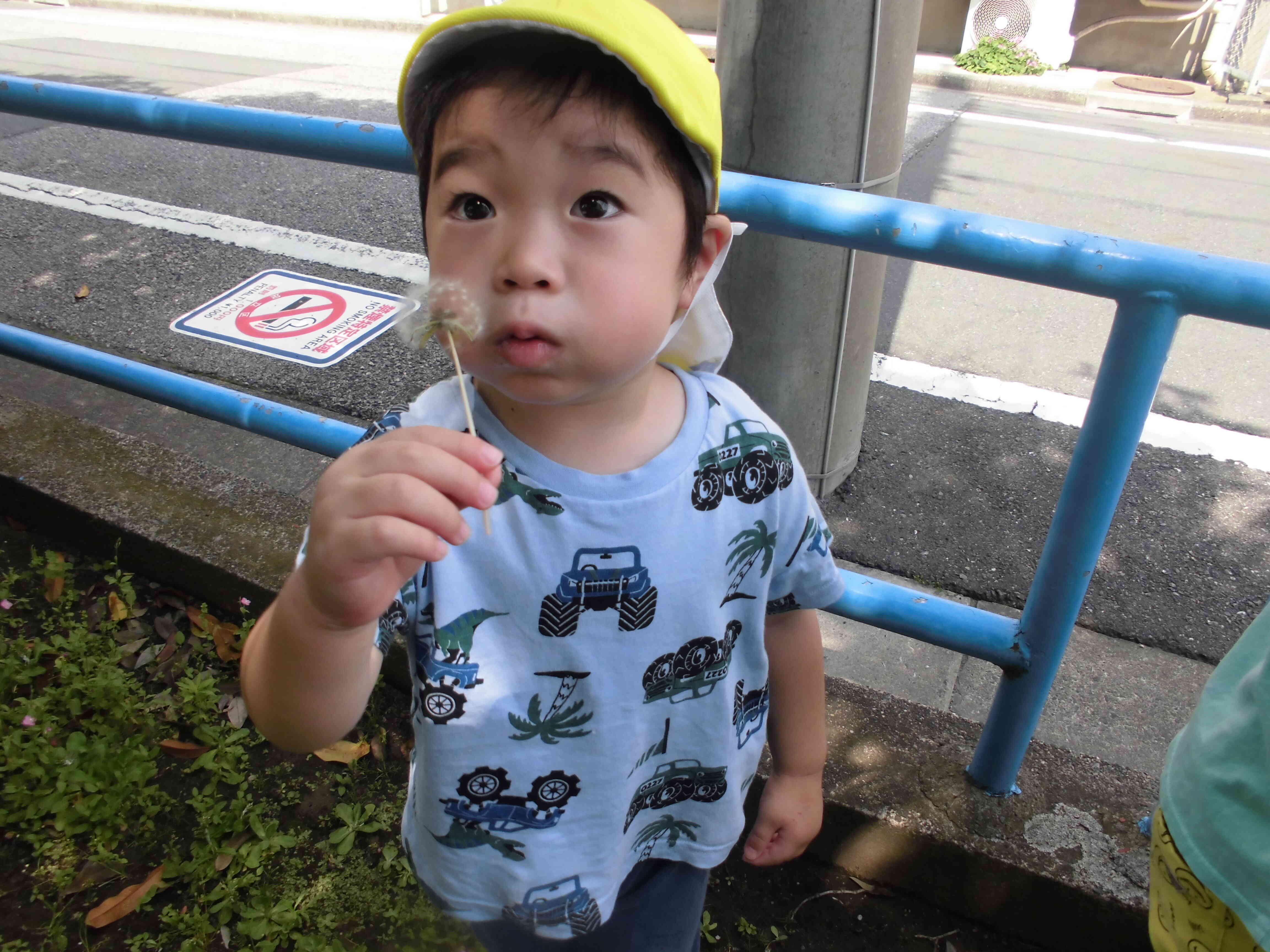 まだたんぽぽの綿毛があったね！